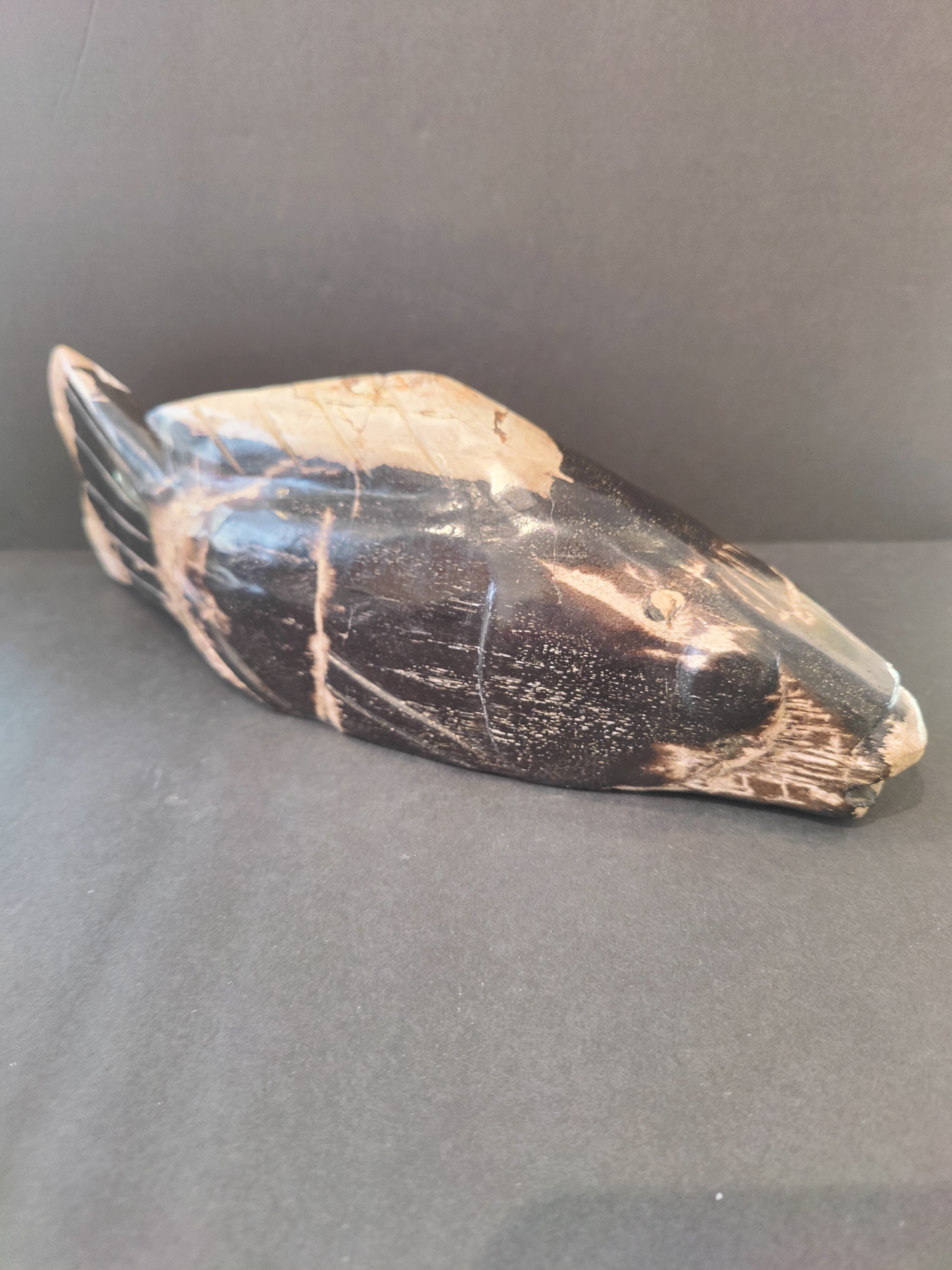Petrified Wood Fish Sculpture | Lapidary | Wiccan Center