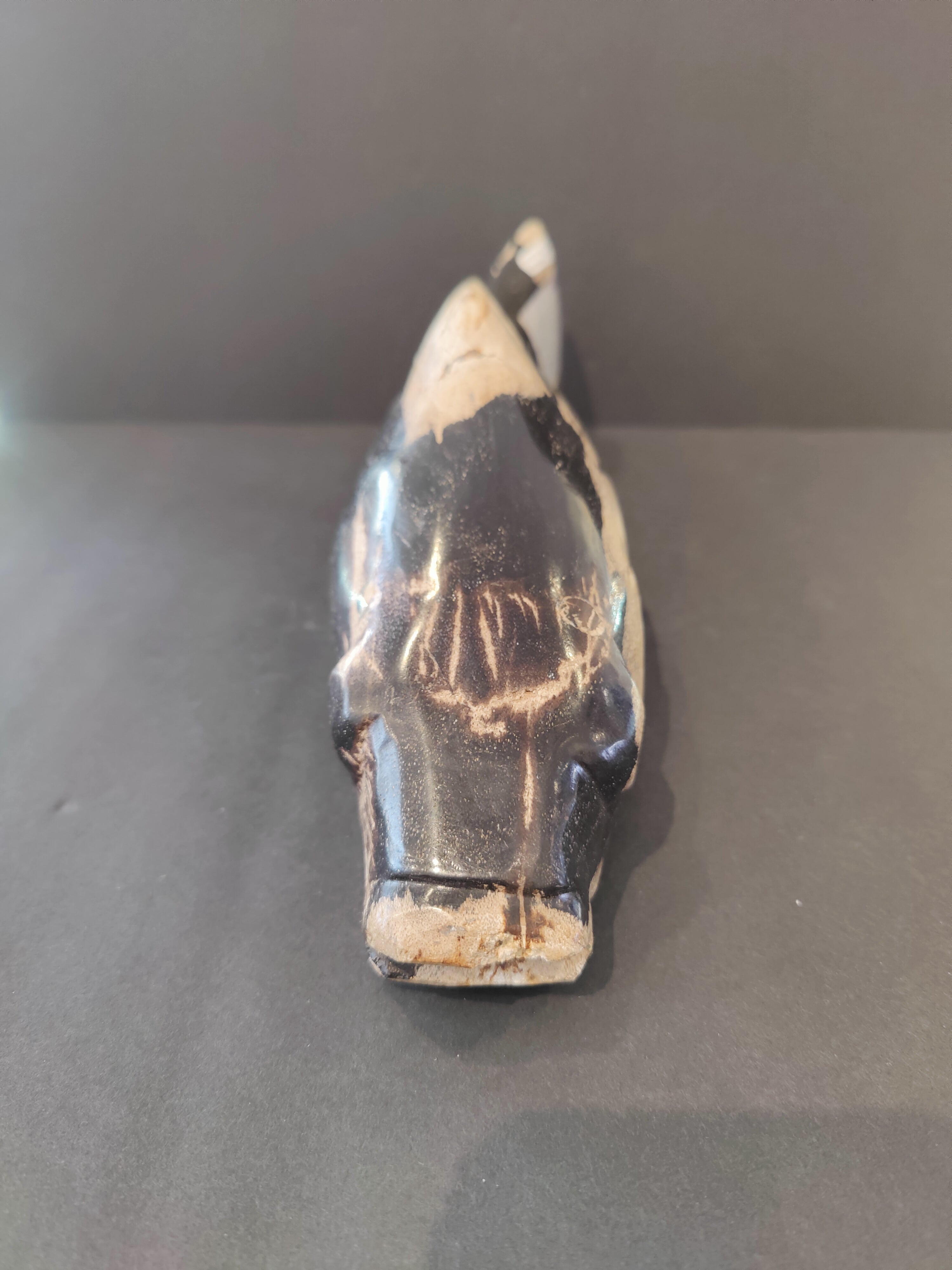 Petrified Wood Fish Sculpture | Lapidary | Wiccan Center