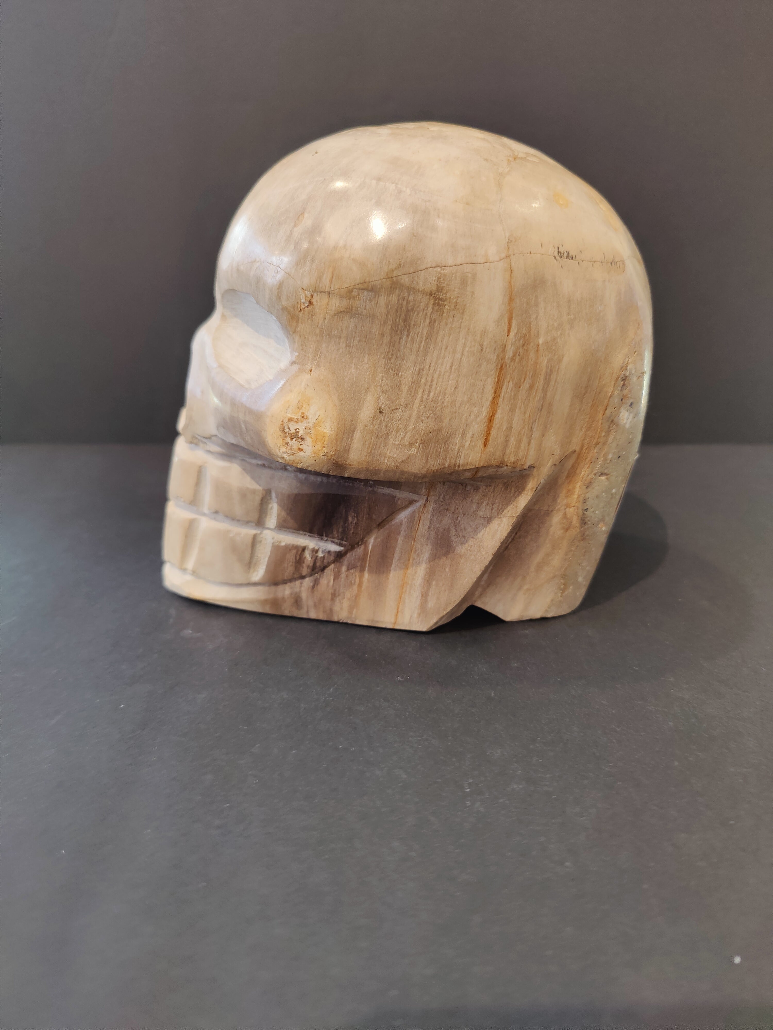 Petrified Wood Skull Sculpture | Lapidary | Wiccan Center