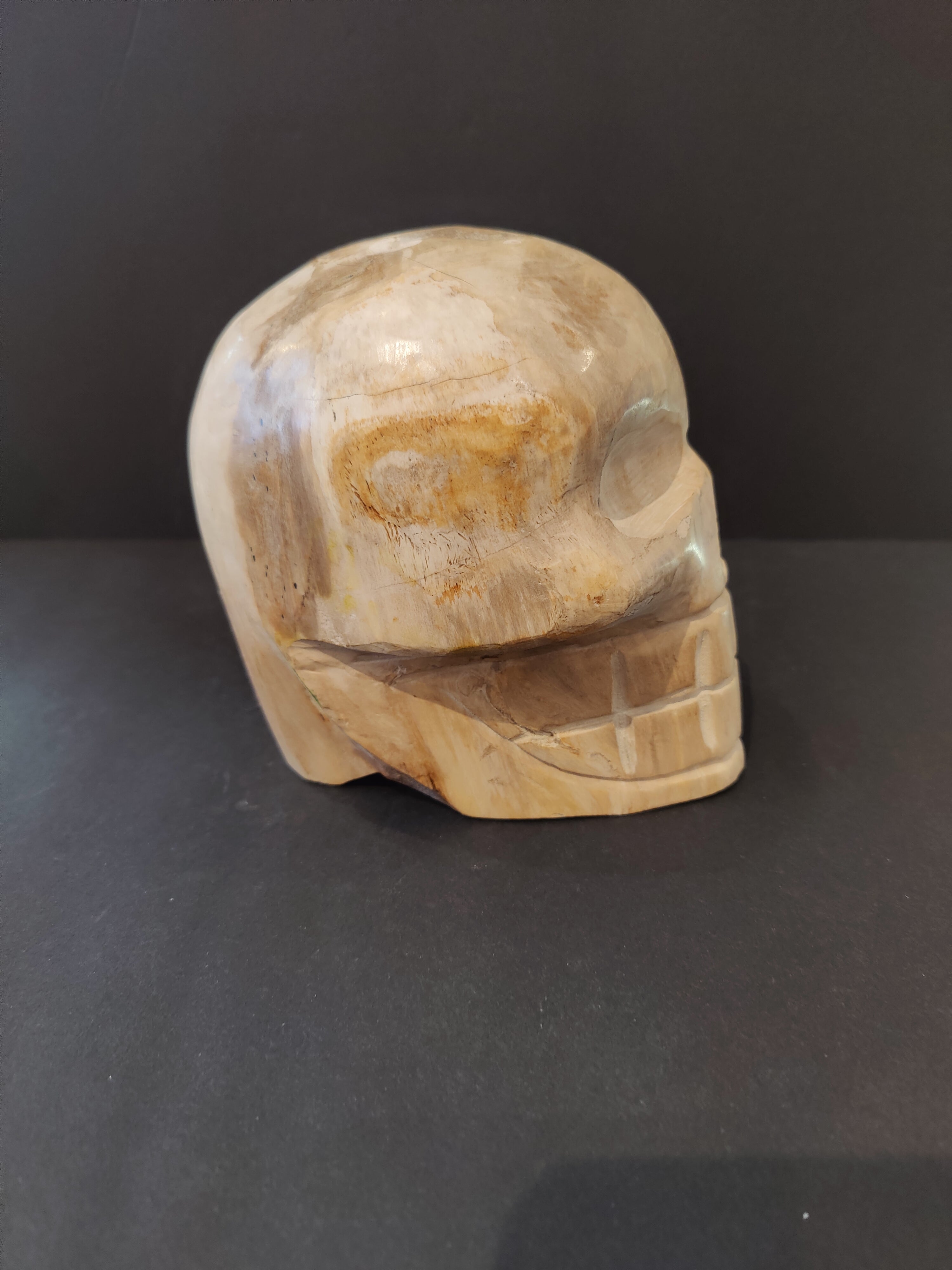 Petrified Wood Skull Sculpture | Lapidary | Wiccan Center