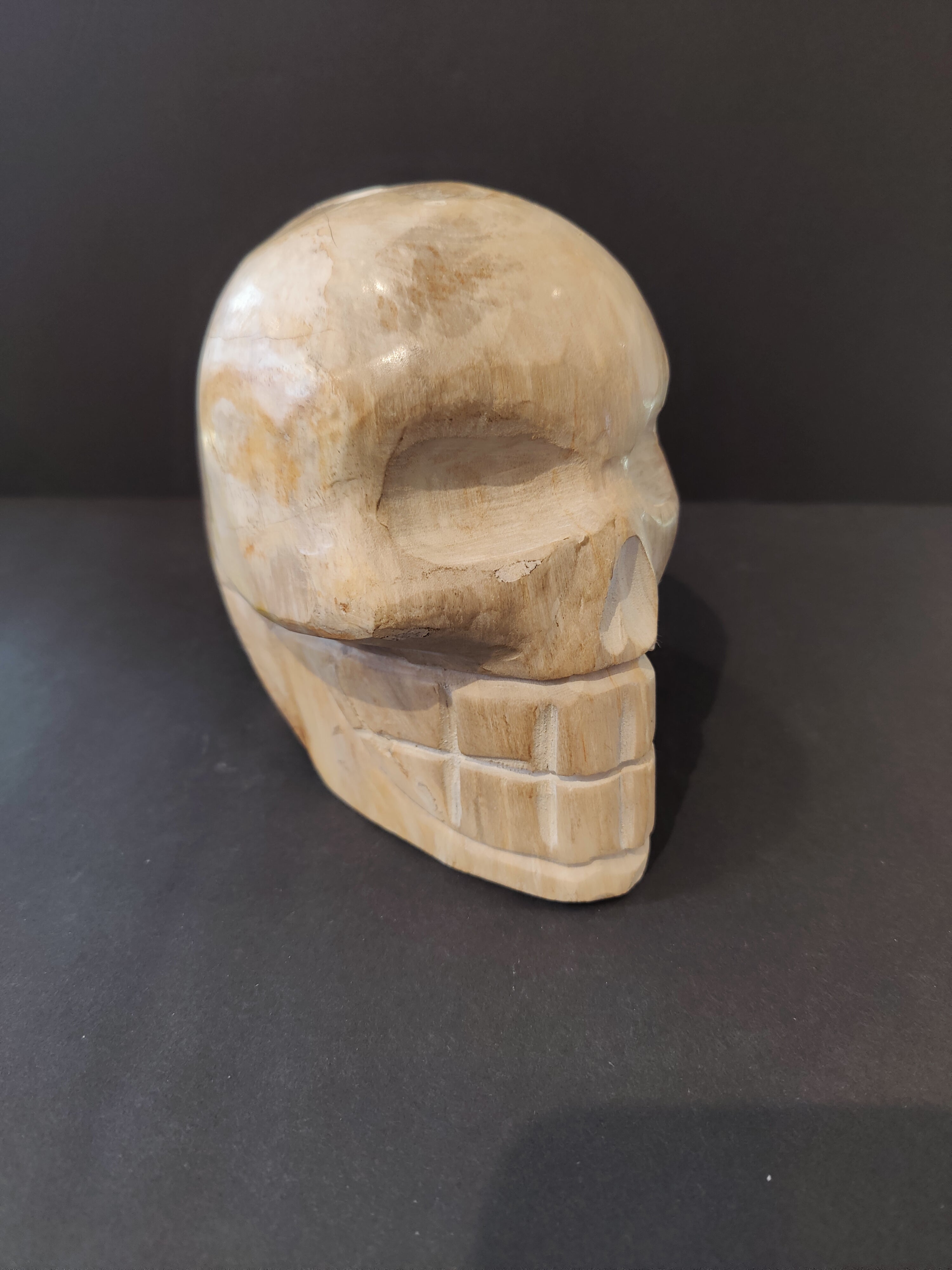 Petrified Wood Skull Sculpture | Lapidary | Wiccan Center