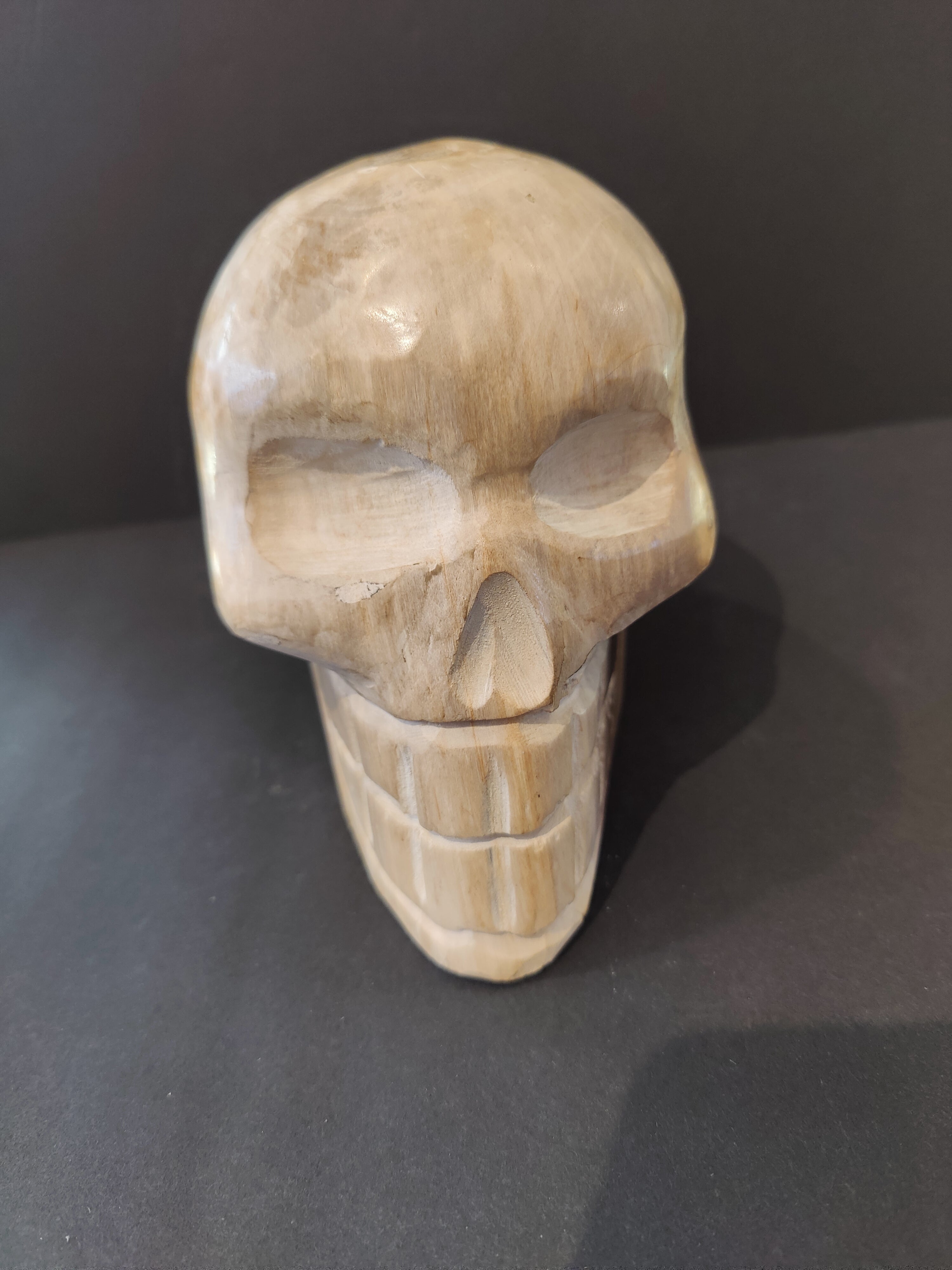 Petrified Wood Skull Sculpture | Lapidary | Wiccan Center