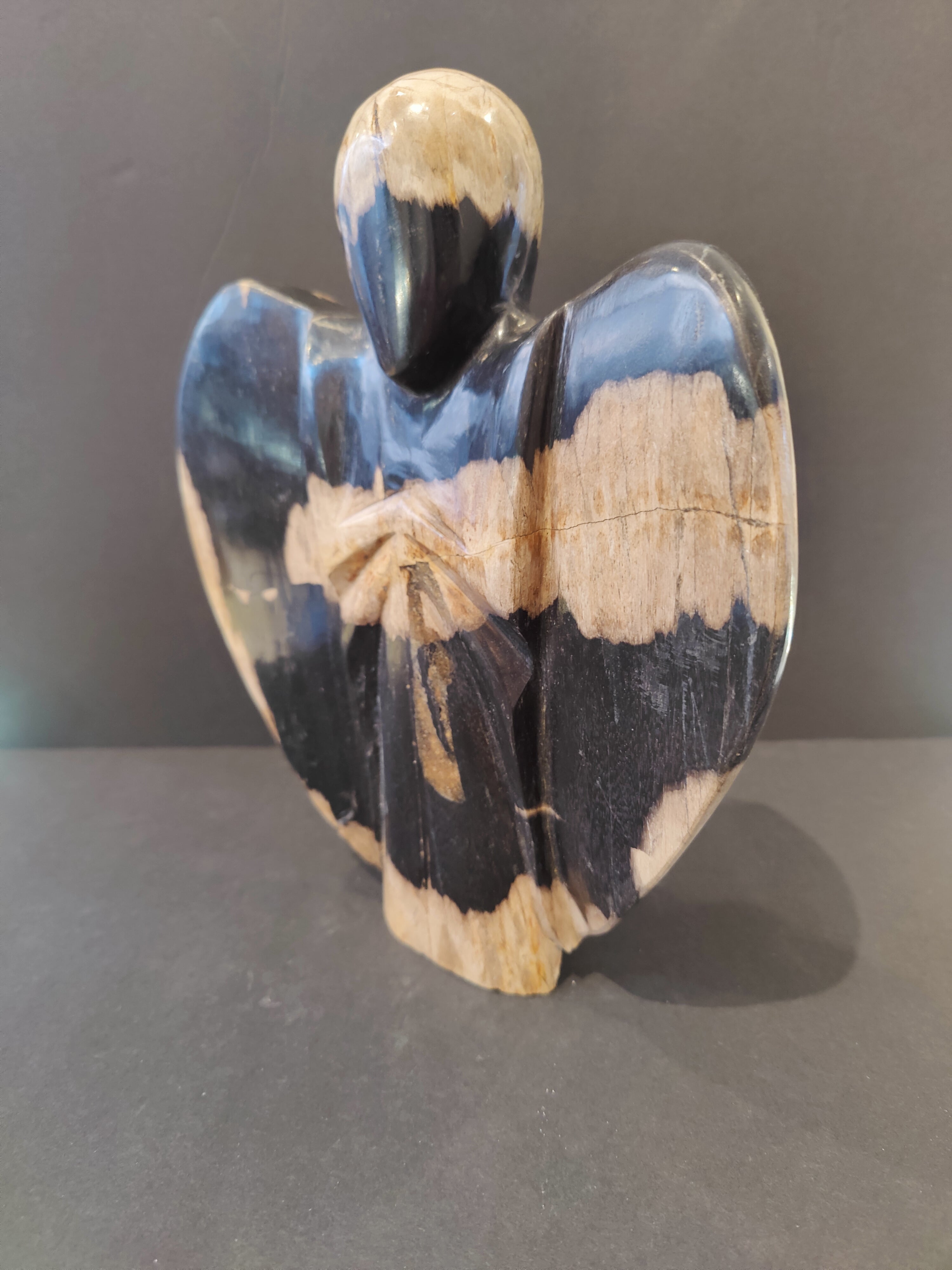 Petrified Wood Angel | Lapidary | Wiccan Center