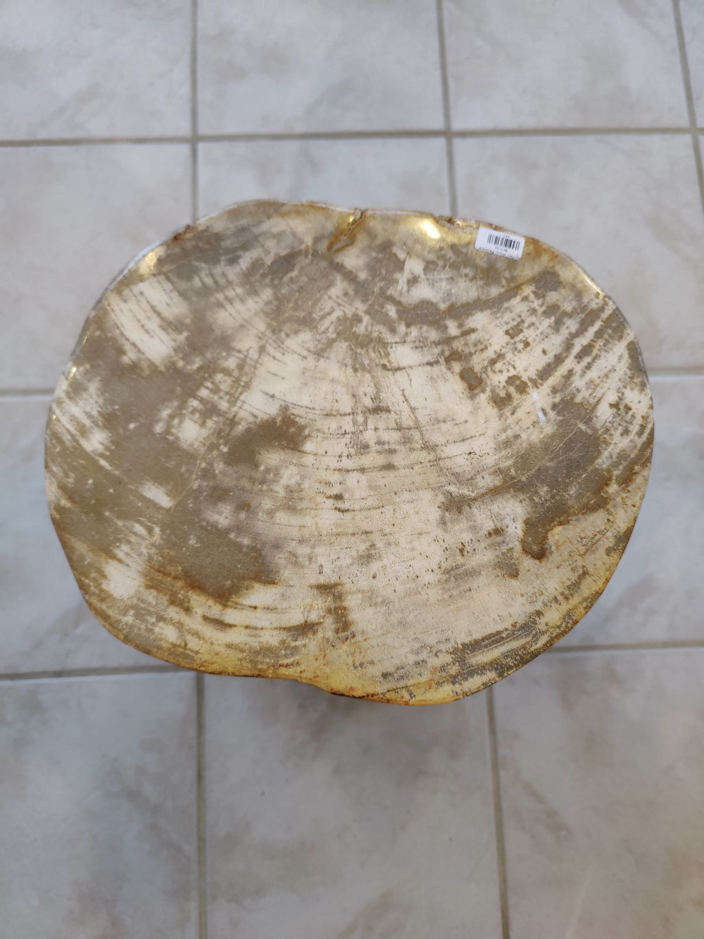 Petrified Wood Pedestal | Lapidary | Wiccan Center
