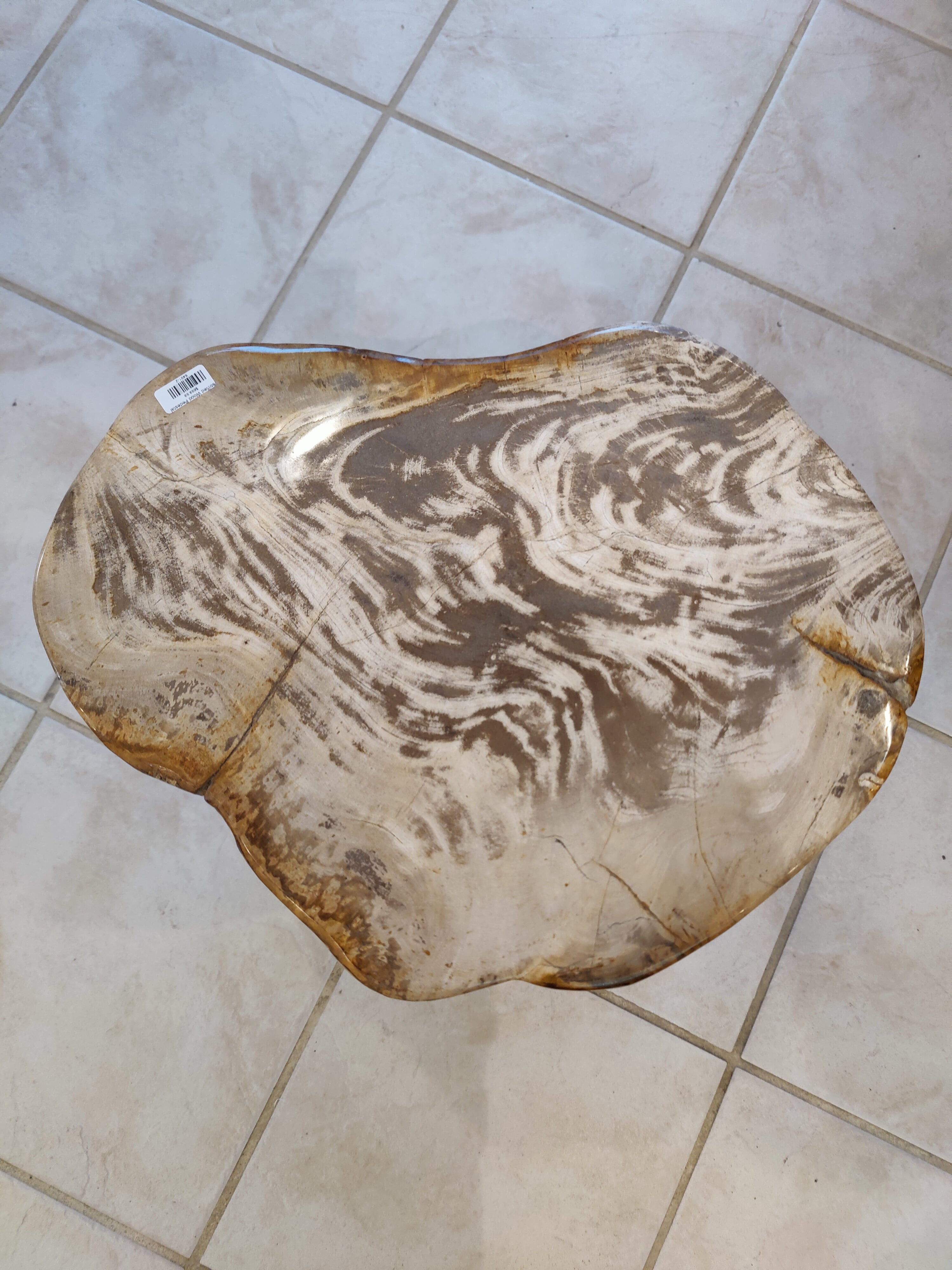 Petrified Wood Pedestal | Lapidary | Wiccan Center