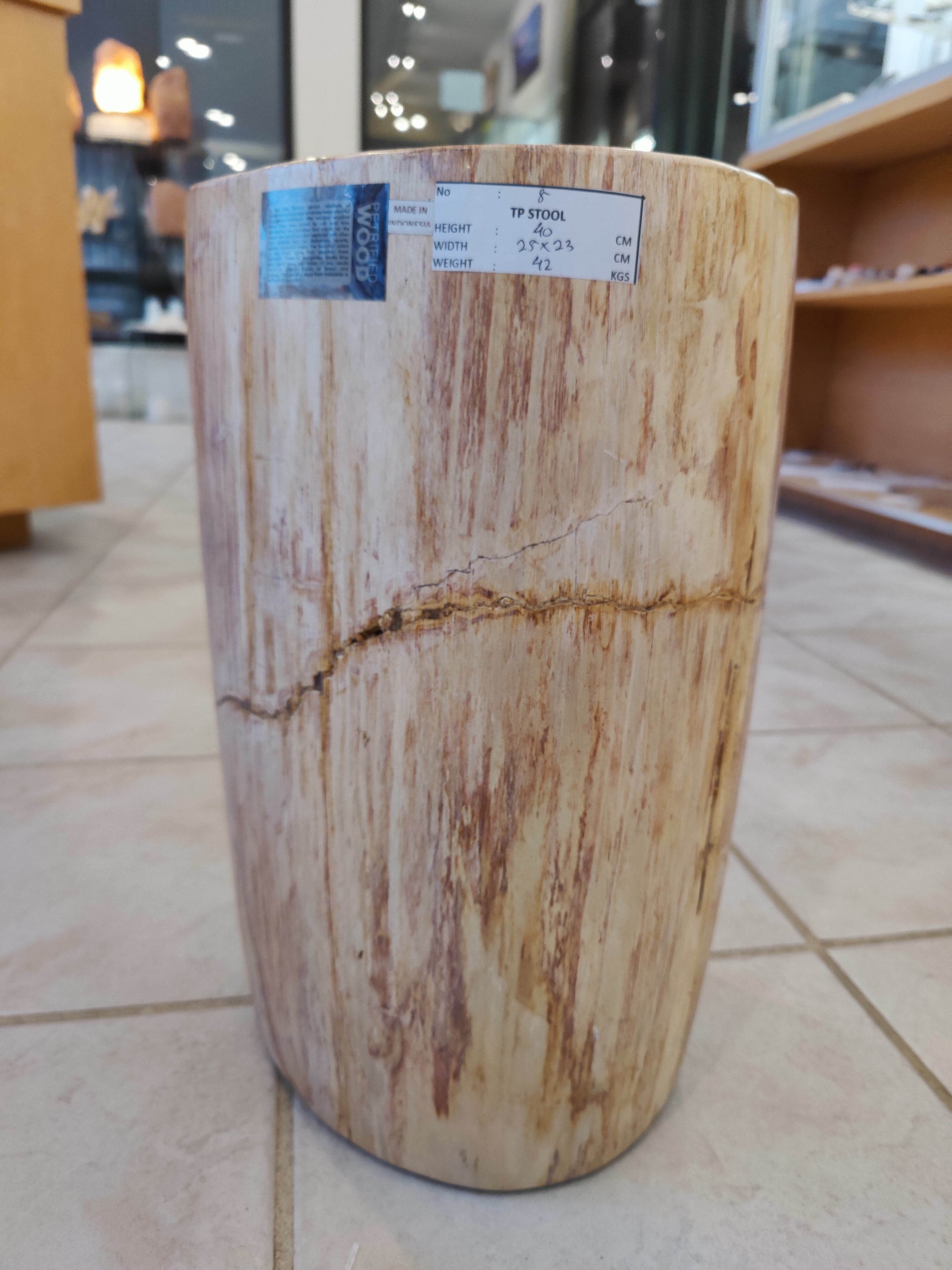 Petrified Wood Pedestal | Lapidary | Wiccan Center