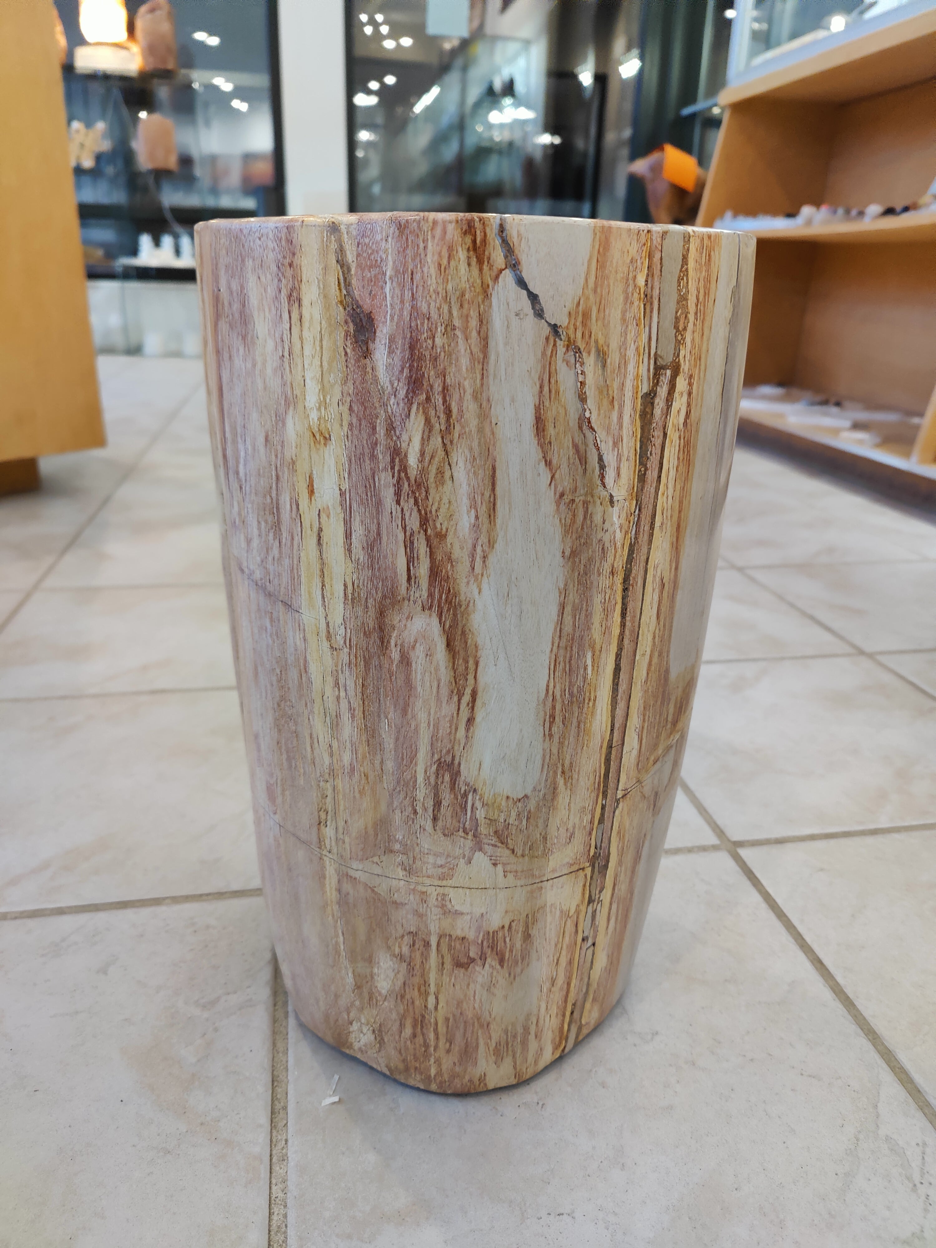 Petrified Wood Pedestal | Lapidary | Wiccan Center
