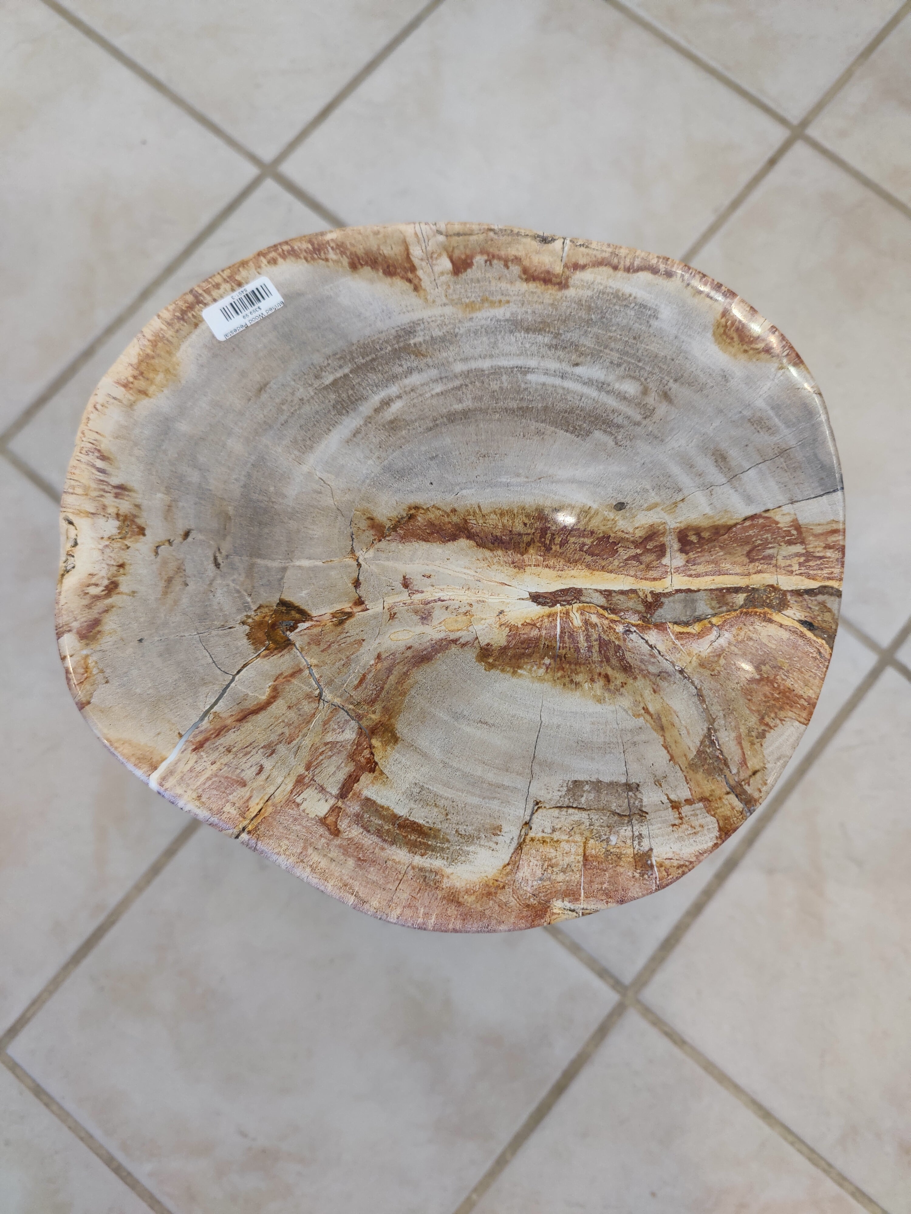 Petrified Wood Pedestal | Lapidary | Wiccan Center