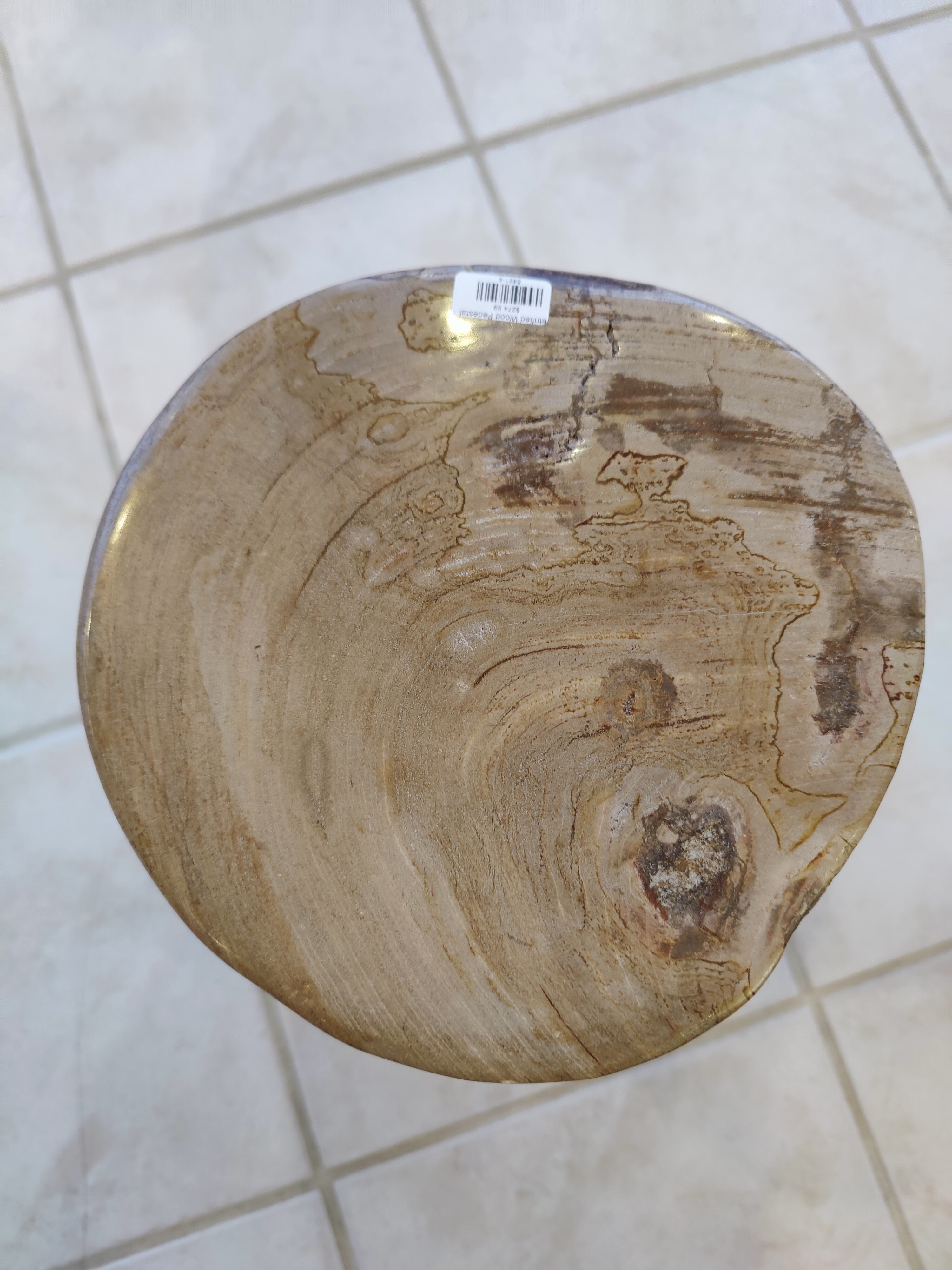 Petrified Wood Pedestal | Lapidary | Wiccan Center