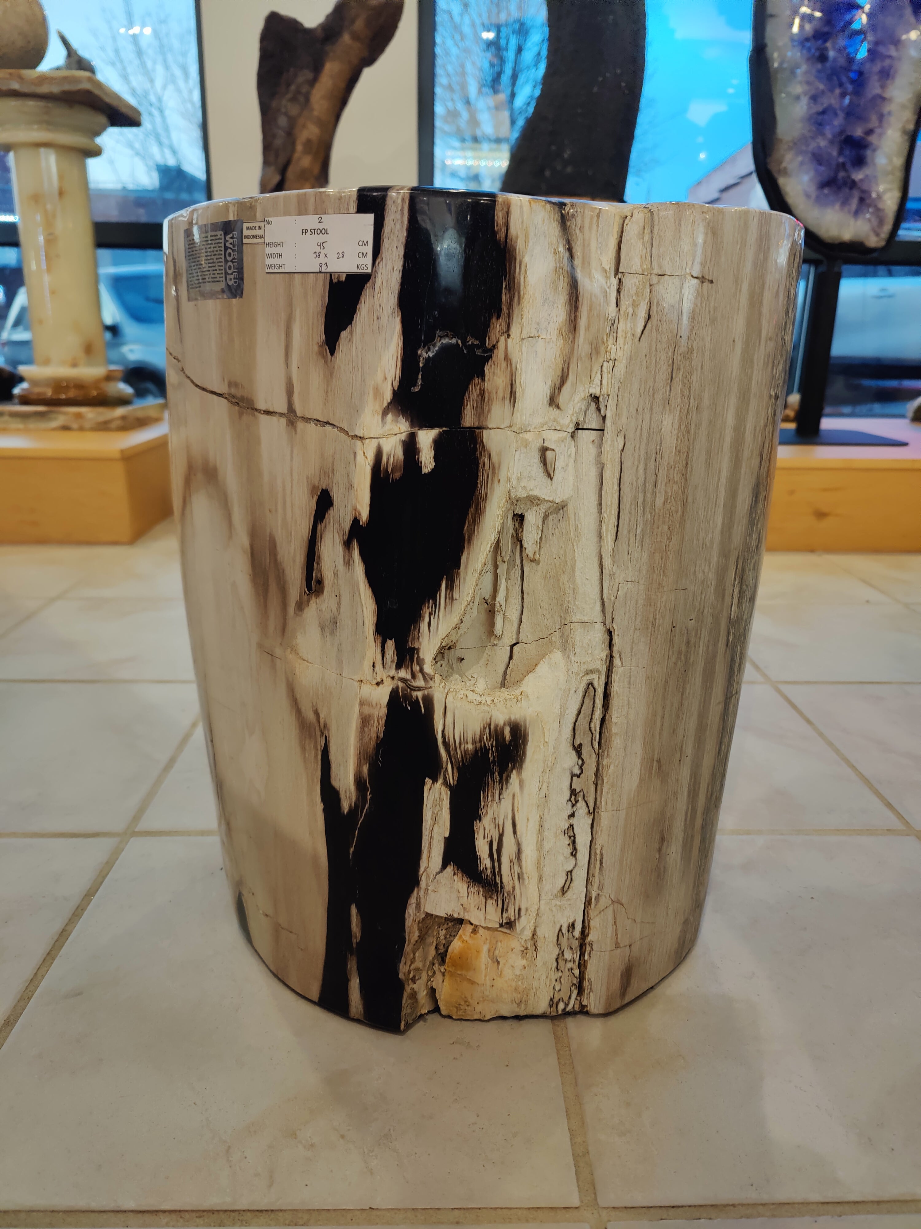 Petrified Wood Pedestal | Lapidary | Wiccan Center