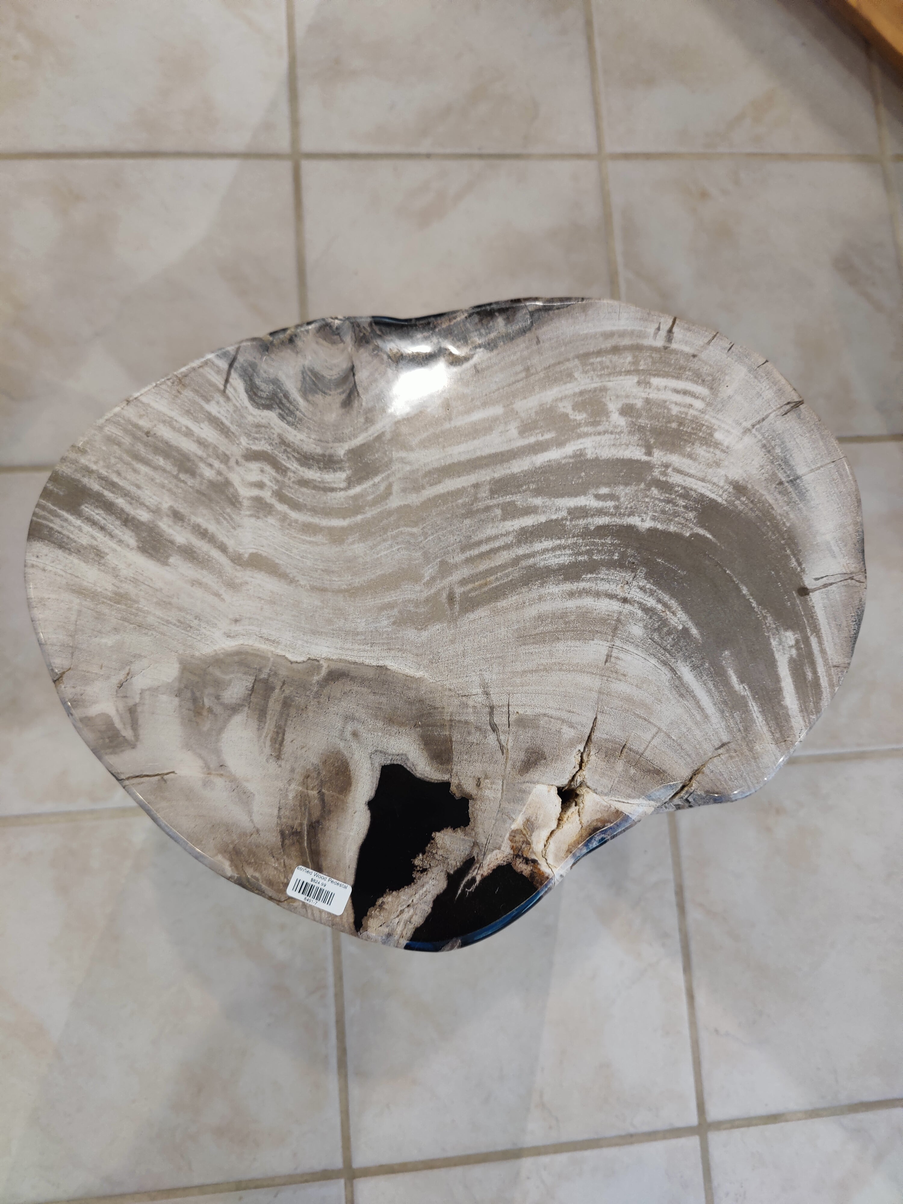 Petrified Wood Pedestal | Lapidary | Wiccan Center