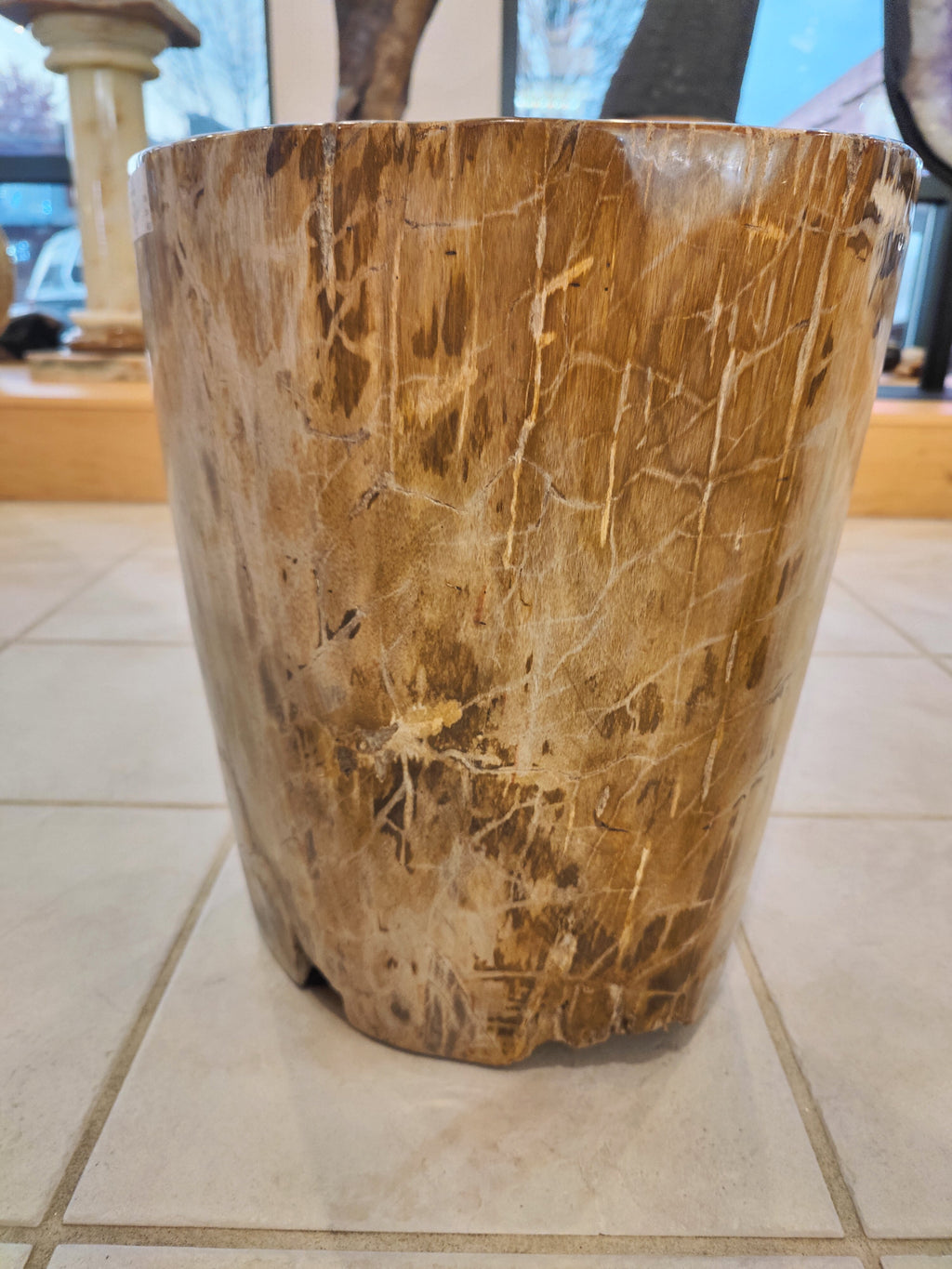 Petrified Wood Pedestal | Lapidary | Wiccan Center