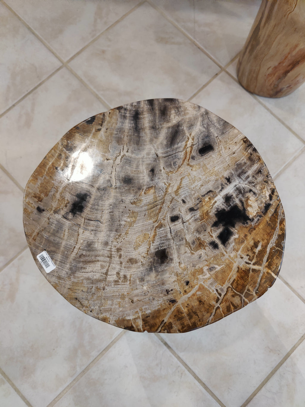 Petrified Wood Pedestal | Lapidary | Wiccan Center