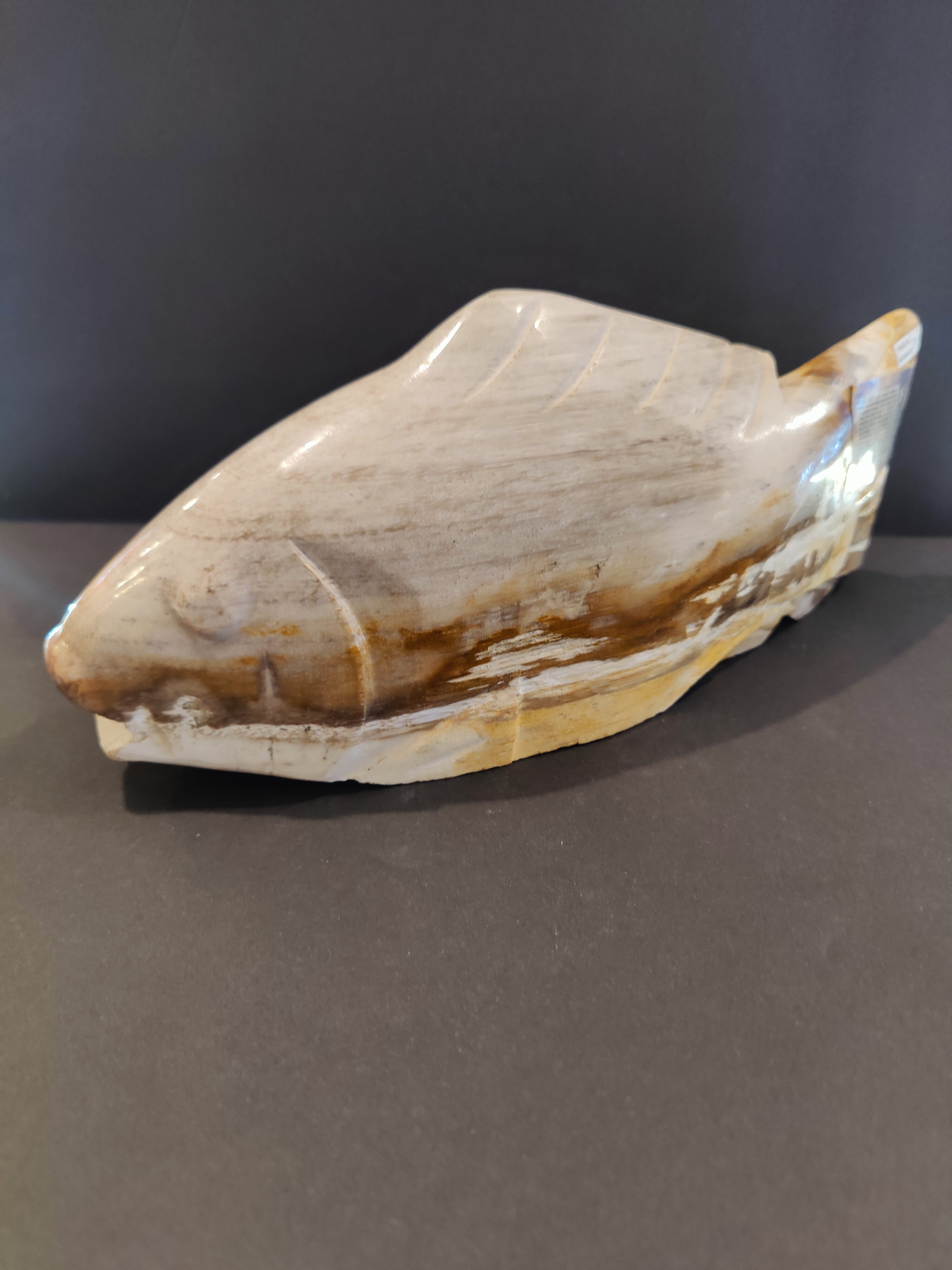Petrified Wood Fish Sculpture | Lapidary | Wiccan Center