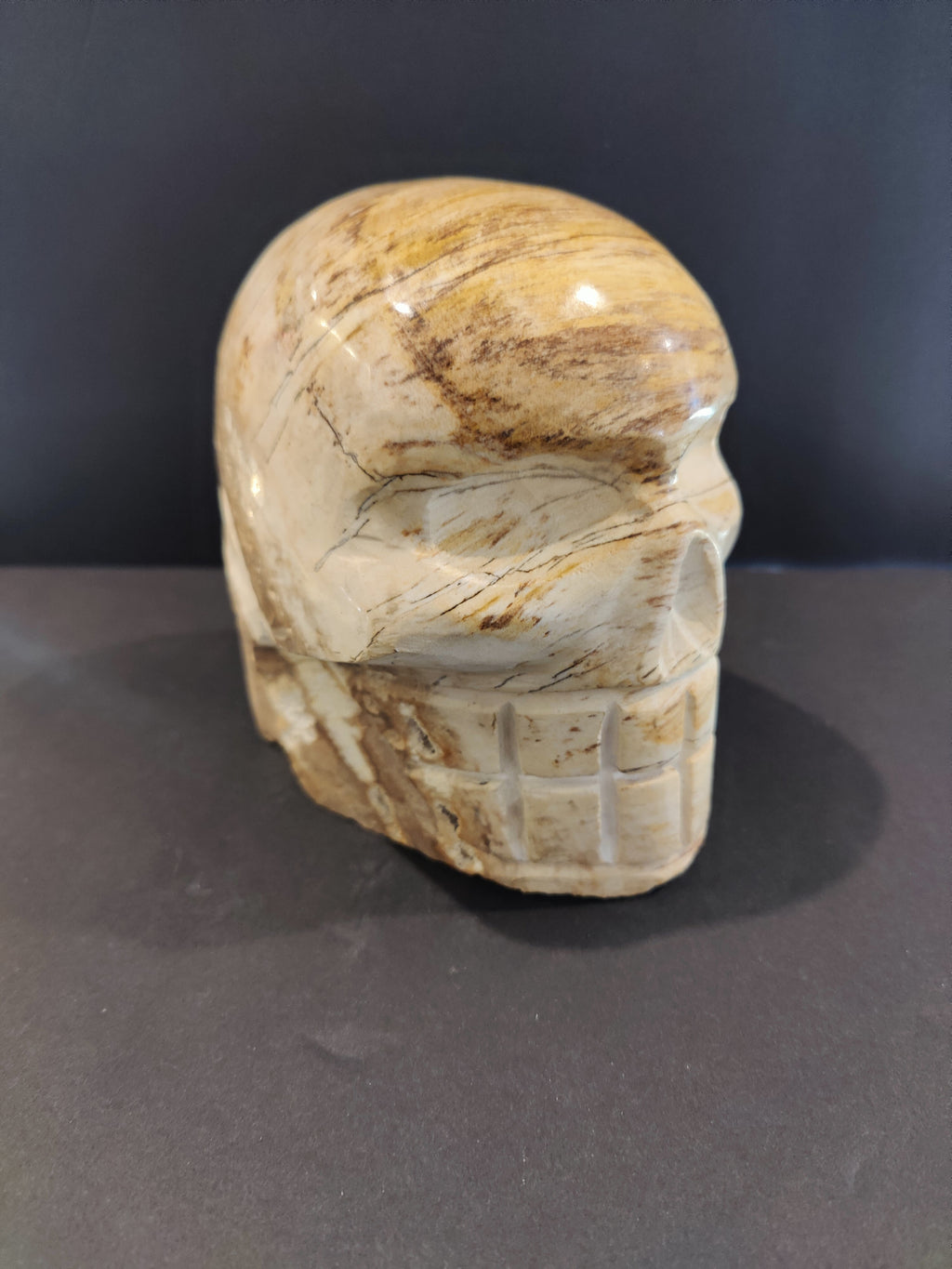 Petrified Wood Skull Sculpture | Lapidary | Wiccan Center