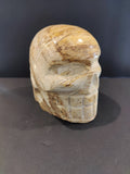 Petrified Wood Skull Sculpture | Lapidary | Wiccan Center