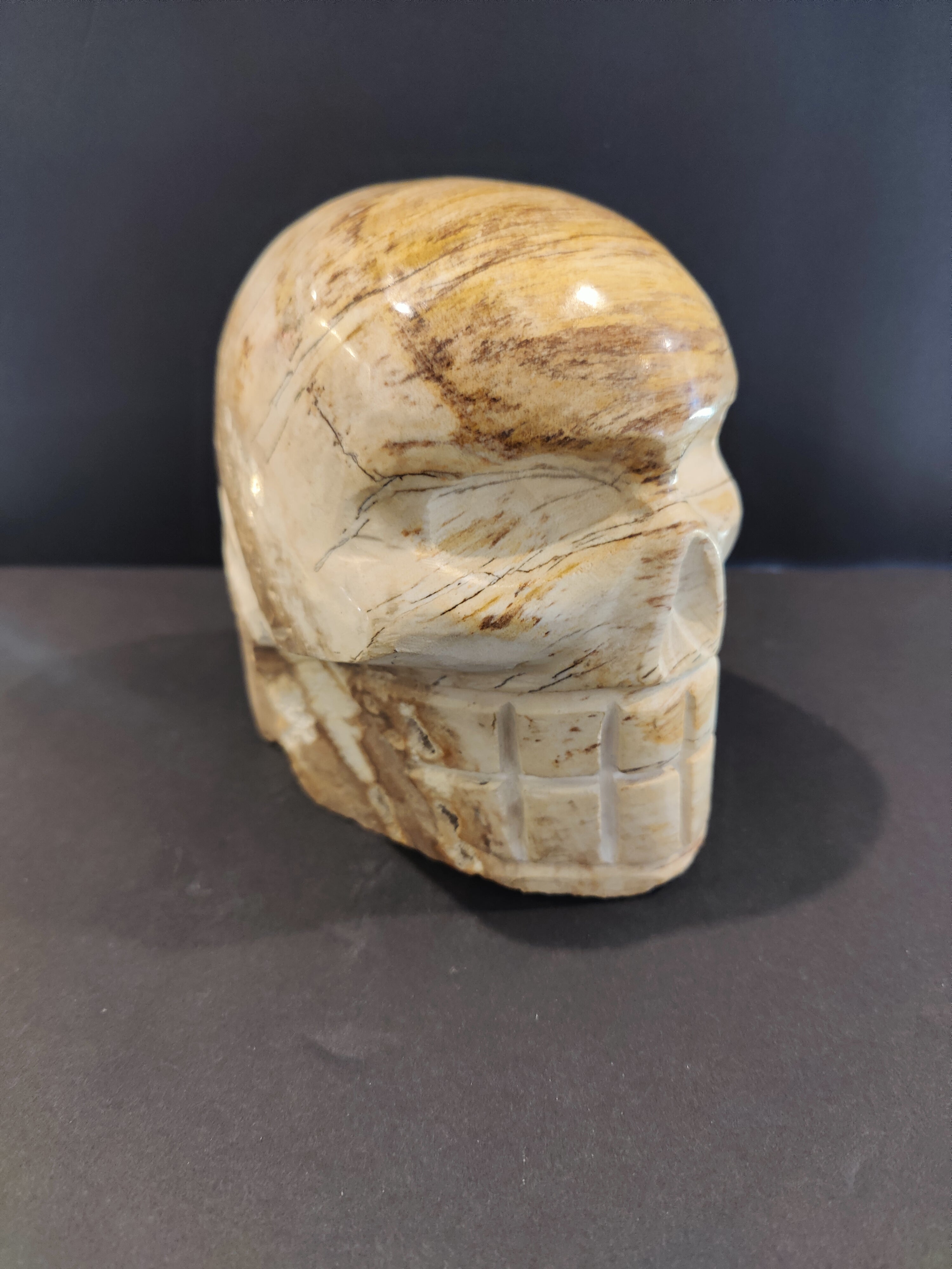 Petrified Wood Skull Sculpture | Lapidary | Wiccan Center