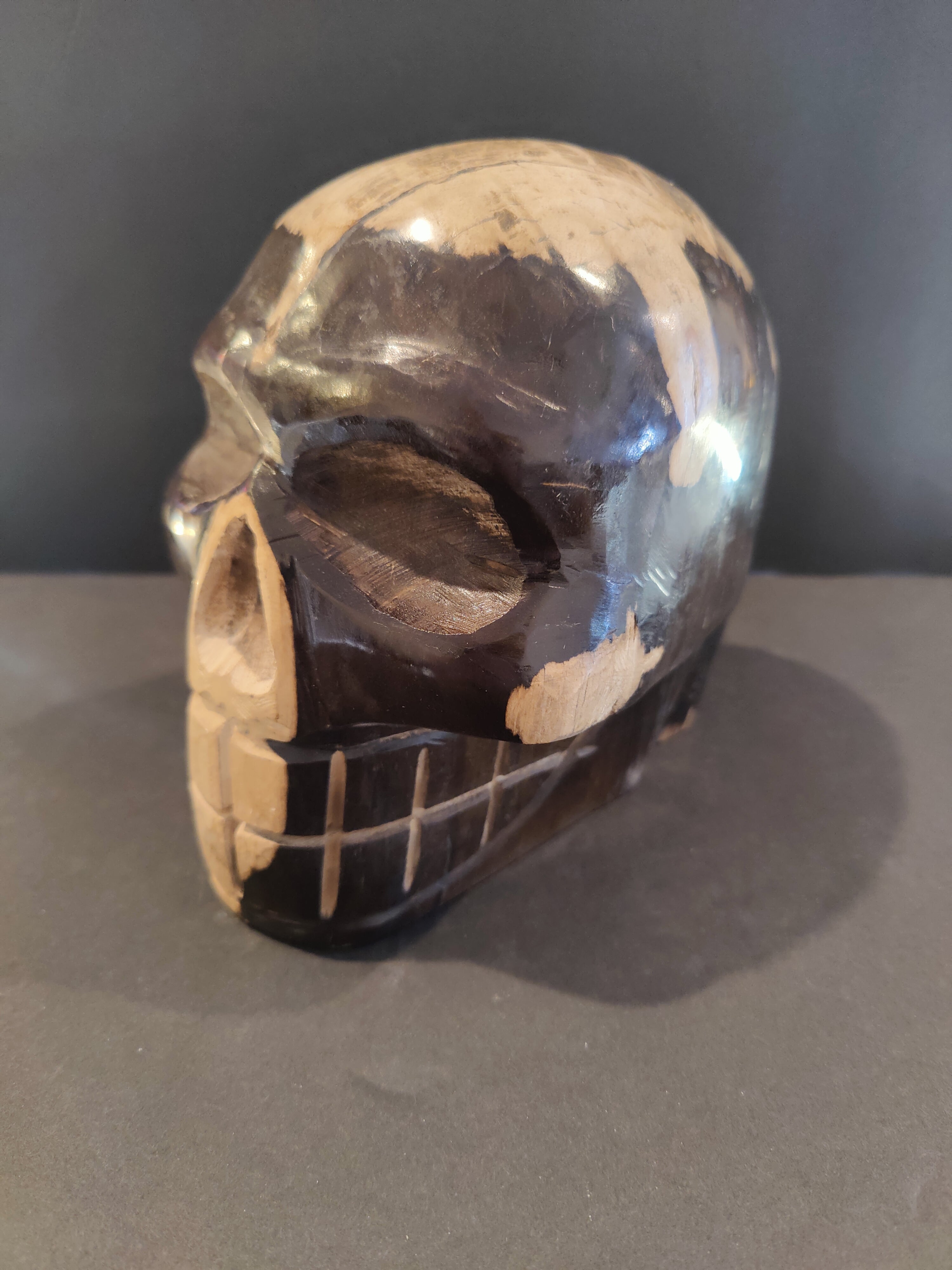 Petrified Wood Skull Sculpture | Lapidary | Wiccan Center