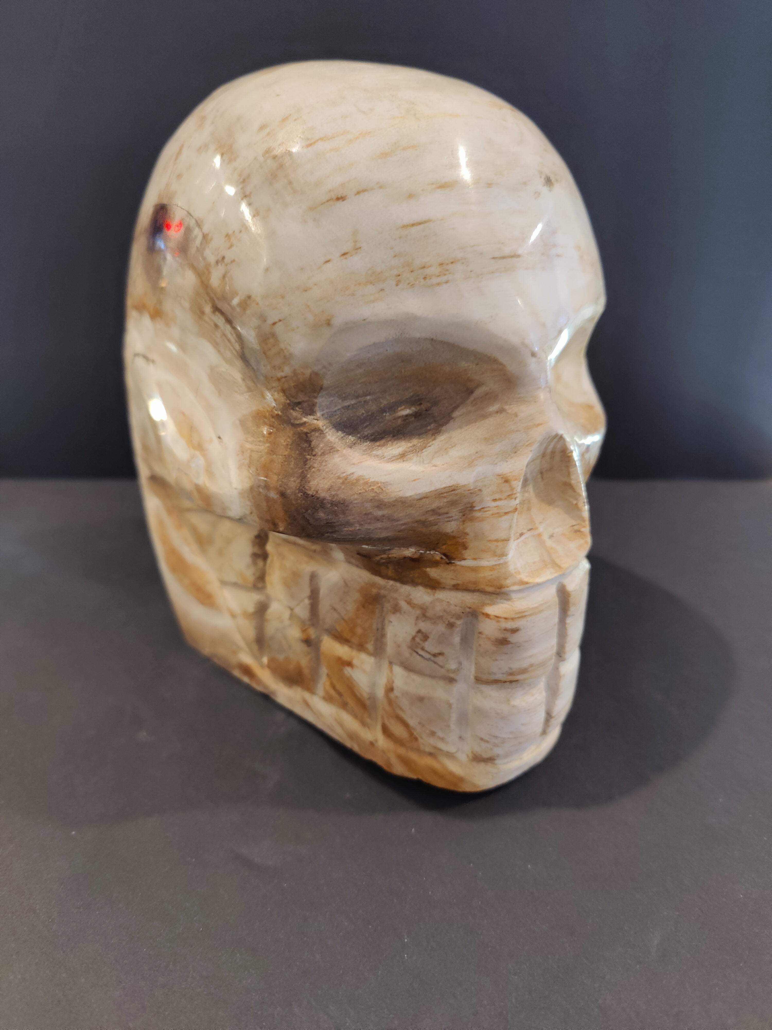 Petrified Wood Skull Sculpture | Lapidary | Wiccan Center