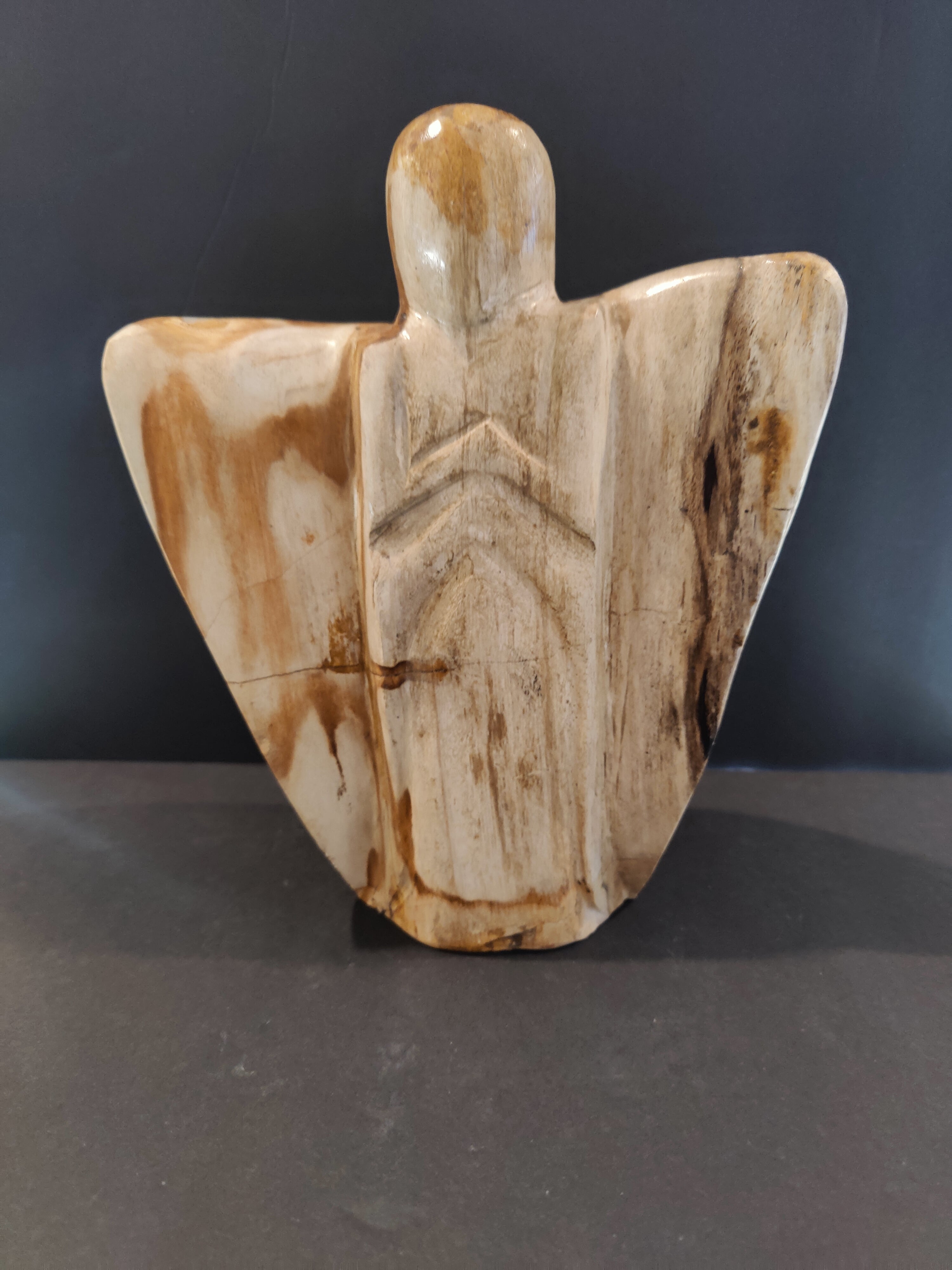 Petrified Wood Angel | Lapidary | Wiccan Center