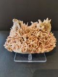 Red Mordenite with Stilbite Specimen 1,261g | Minerals | Wiccan Center