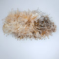 Lemurian Quartz | | Wiccan Center