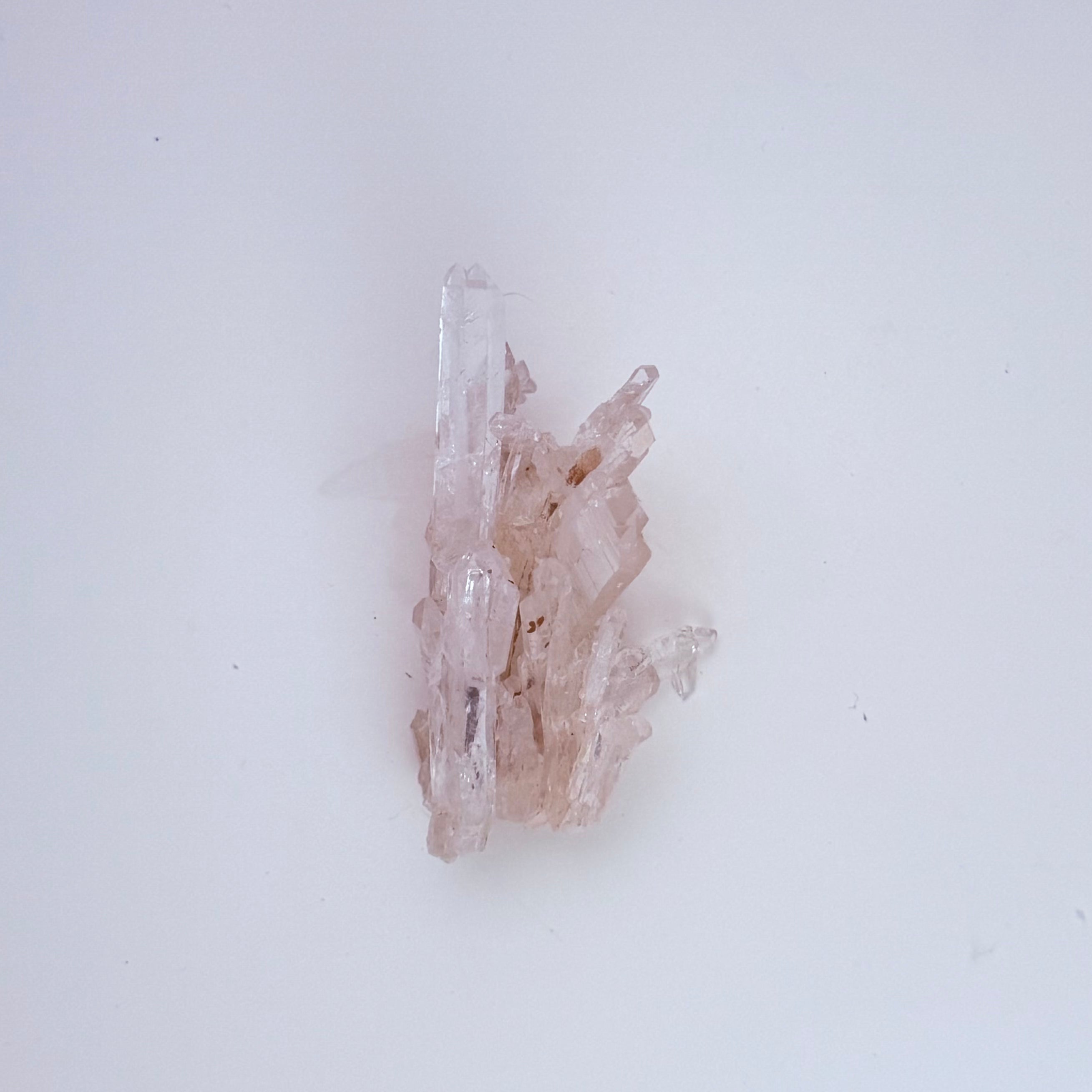 Lemurian Quartz | | Wiccan Center