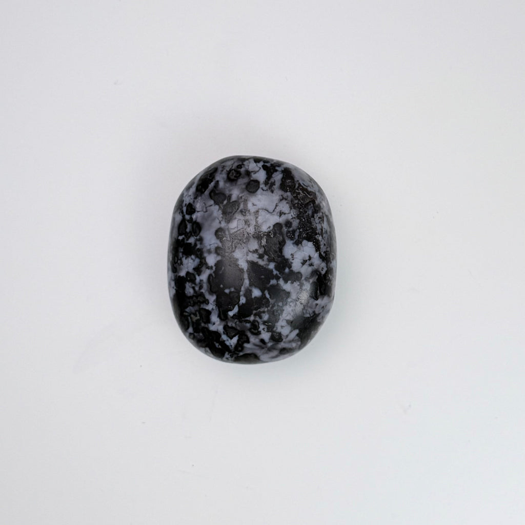 Indigo Gabbro | | Wiccan Center