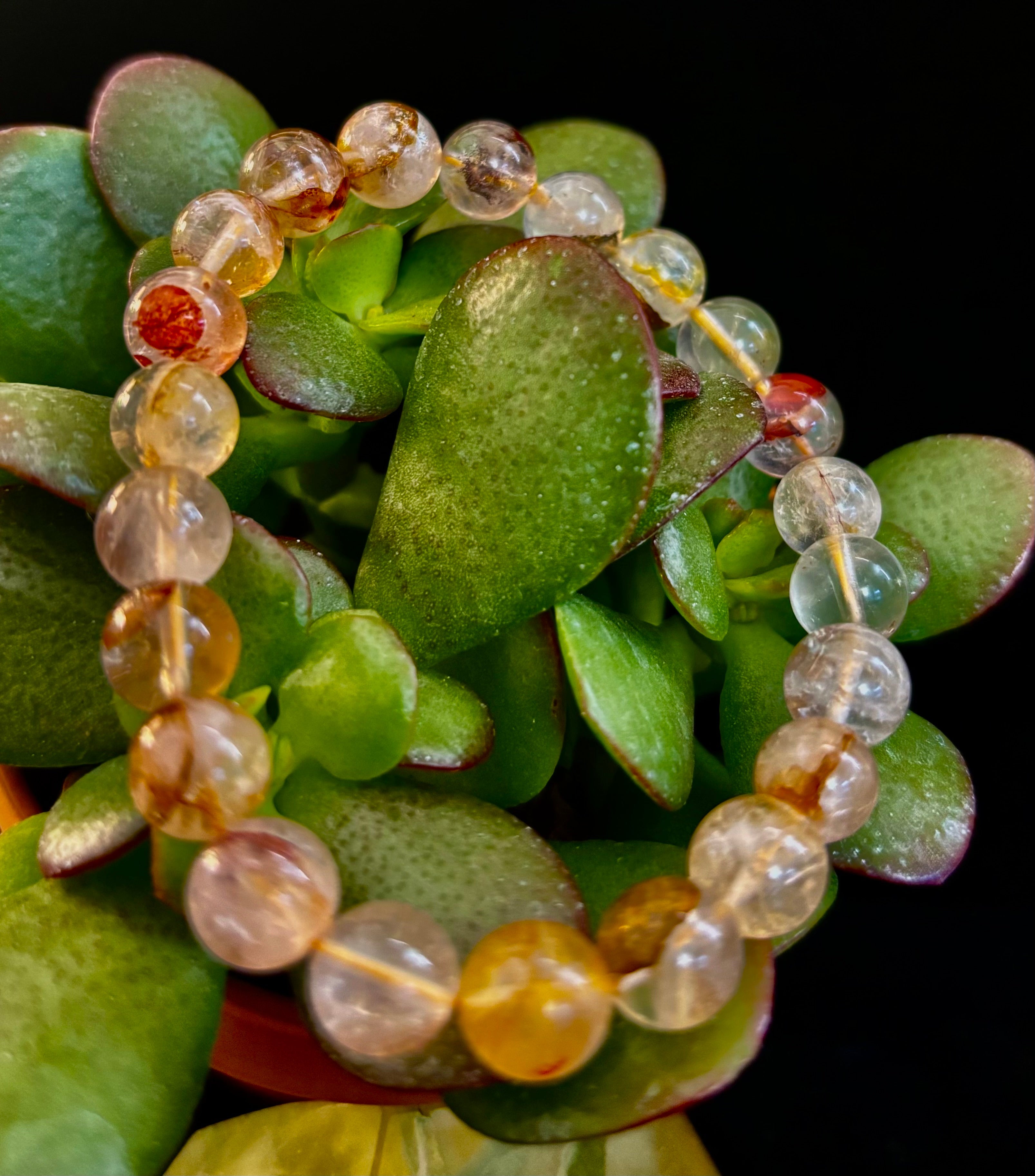 Golden Healer Quartz Bracelet – 8mm Natural Crystal (Small–Medium Wrist) | Energy Healing, Alignment & Manifestation | | Wiccan Center