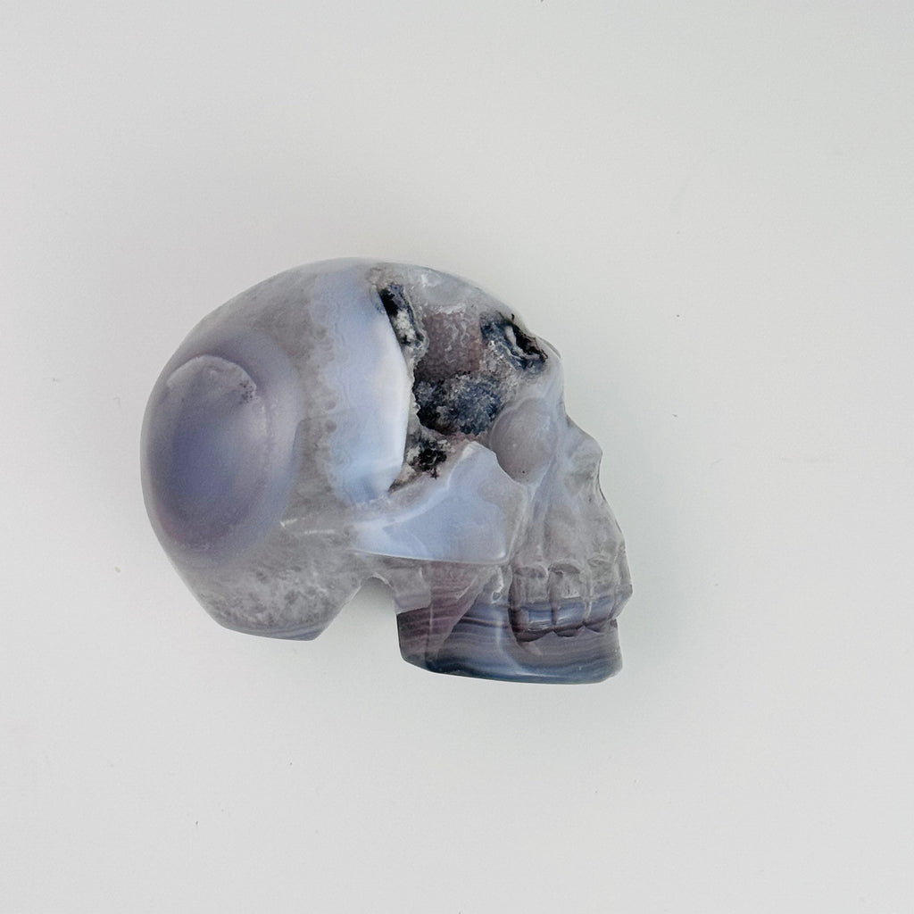 Skulls | | Wiccan Center