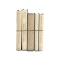 Modern Book Bundle by Color