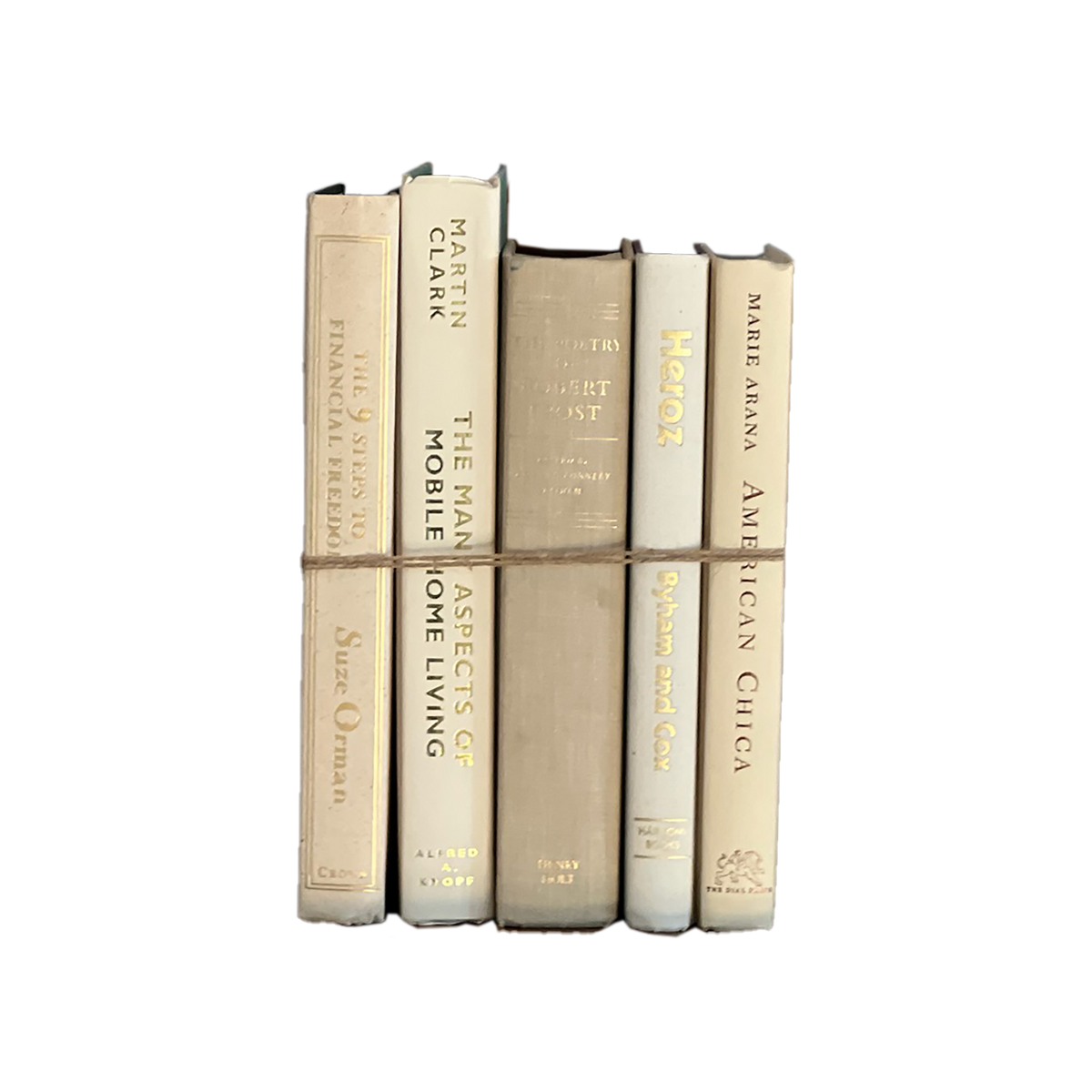 Modern Book Bundle by Color