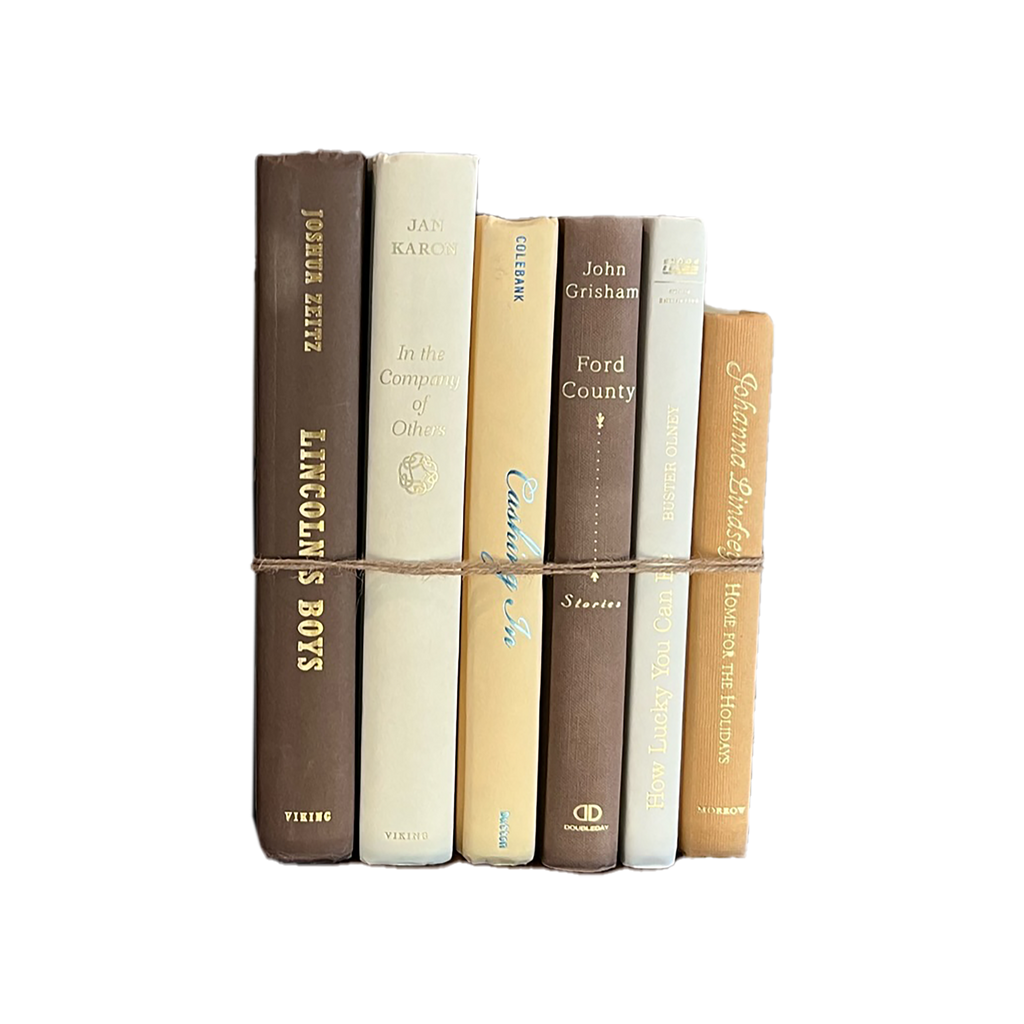 Modern Book Bundle by Color