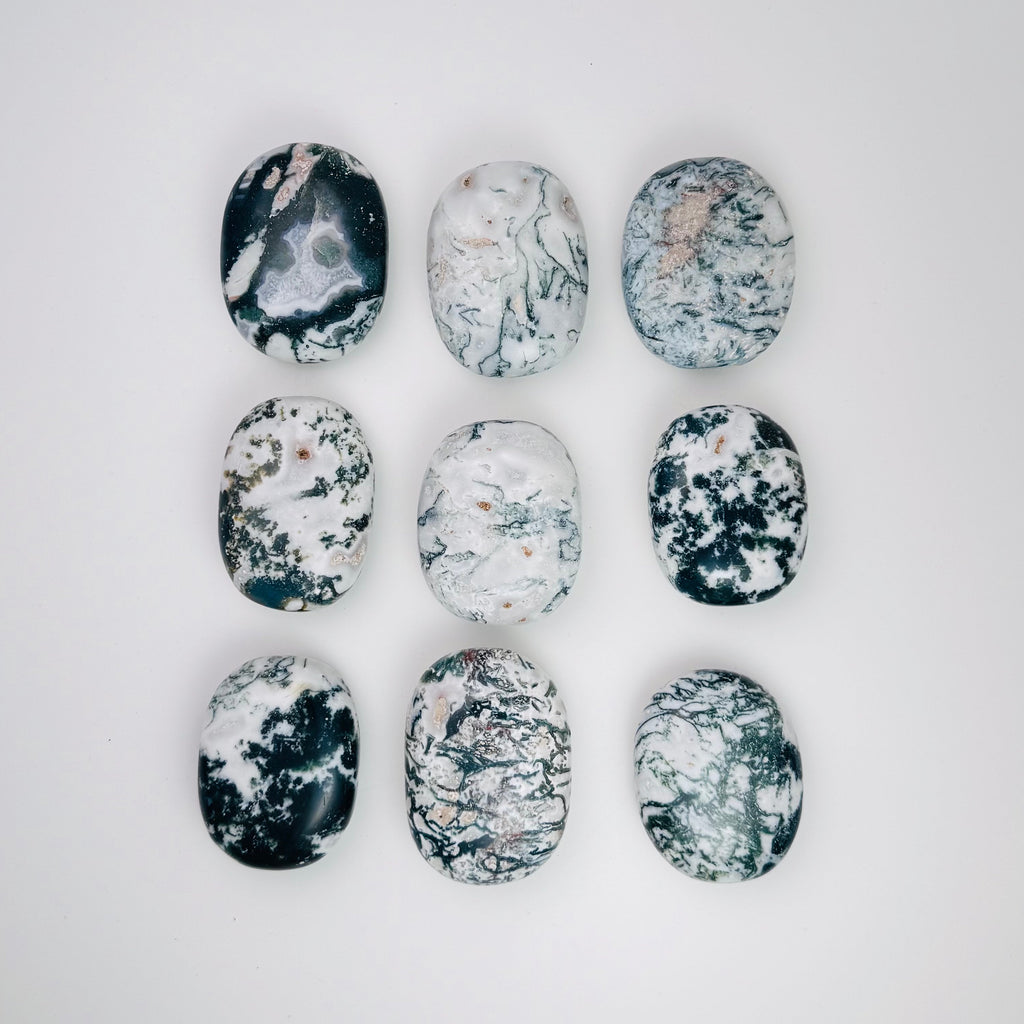 Tree Agate | | Wiccan Center