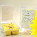 Solar Plexus Chakra – Luxe Hand-Poured Natural Soy Wax Melts