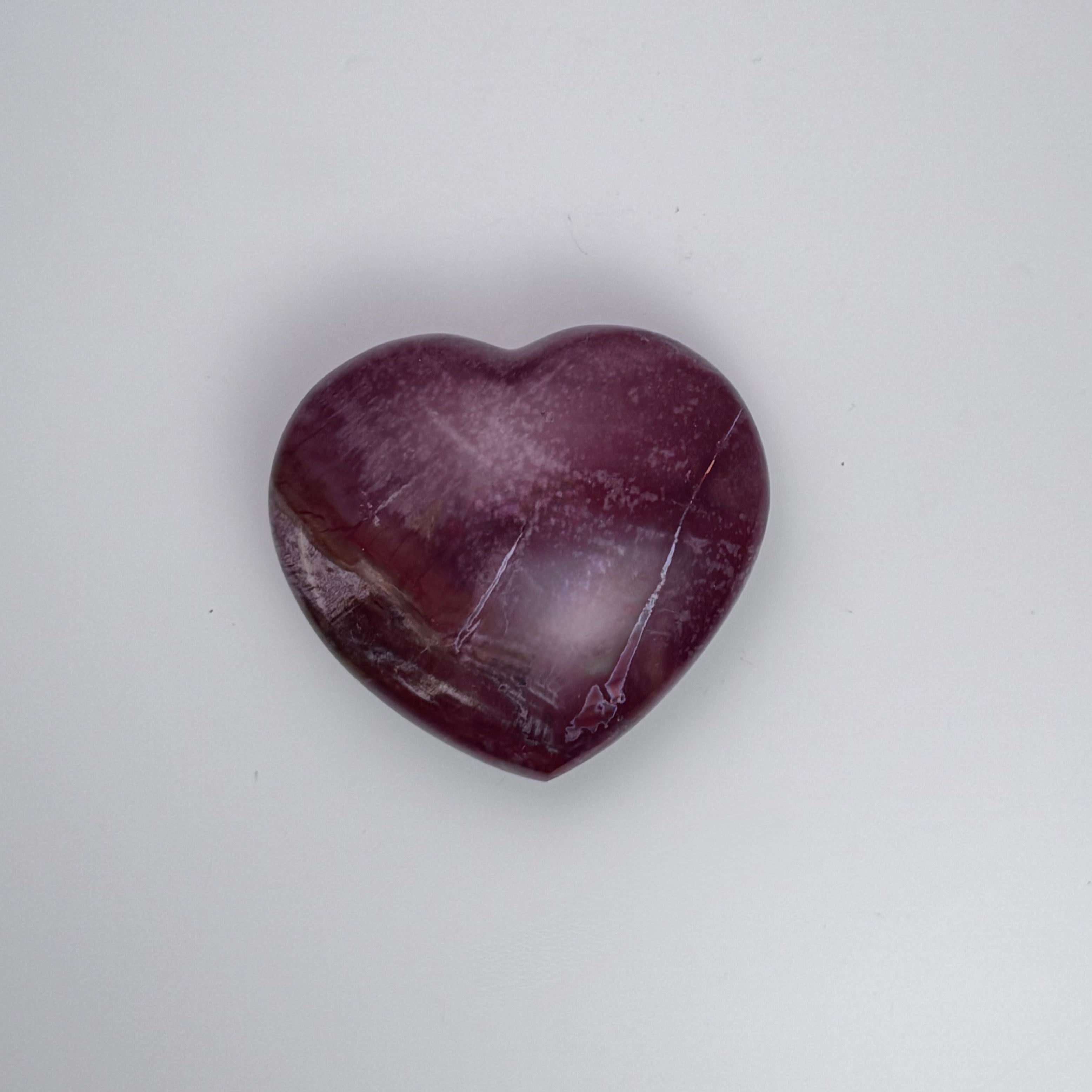 Petrified Wood | | Wiccan Center