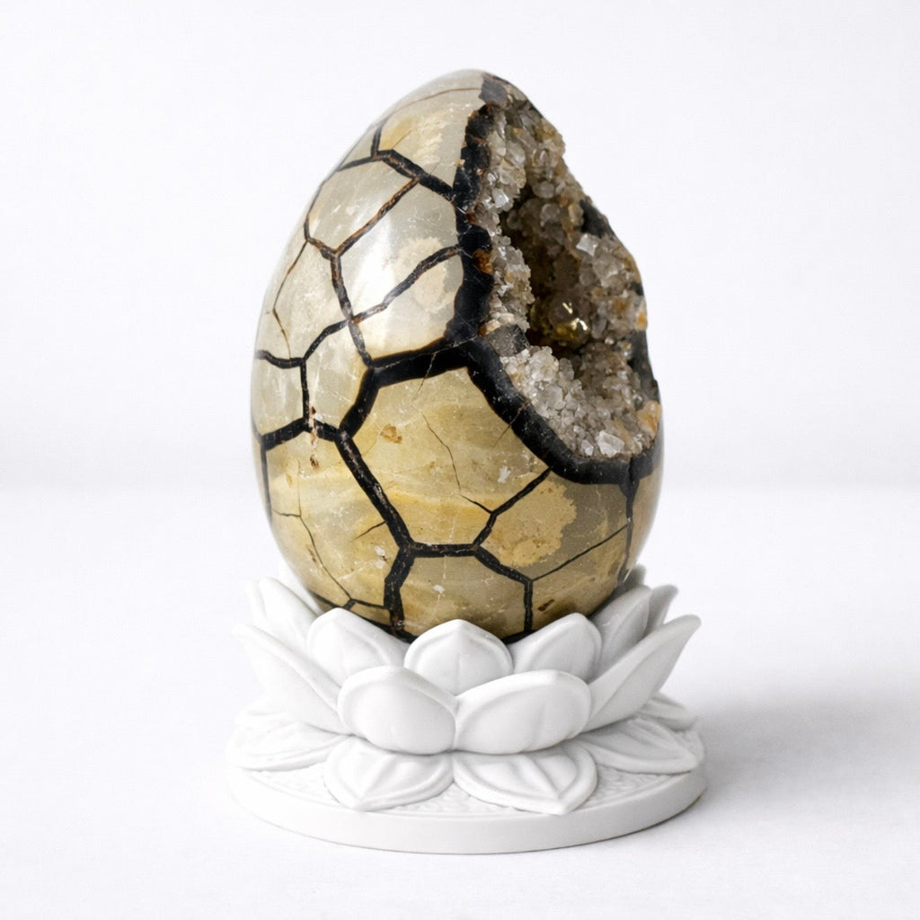 White Lotus Crystal Egg Stand – Choose Your Egg | | Wiccan Center
