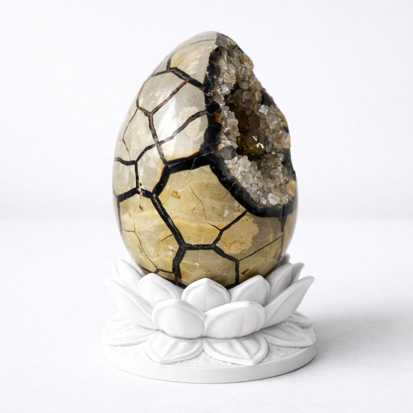 White Lotus Crystal Egg Stand – Choose Your Egg | | Wiccan Center