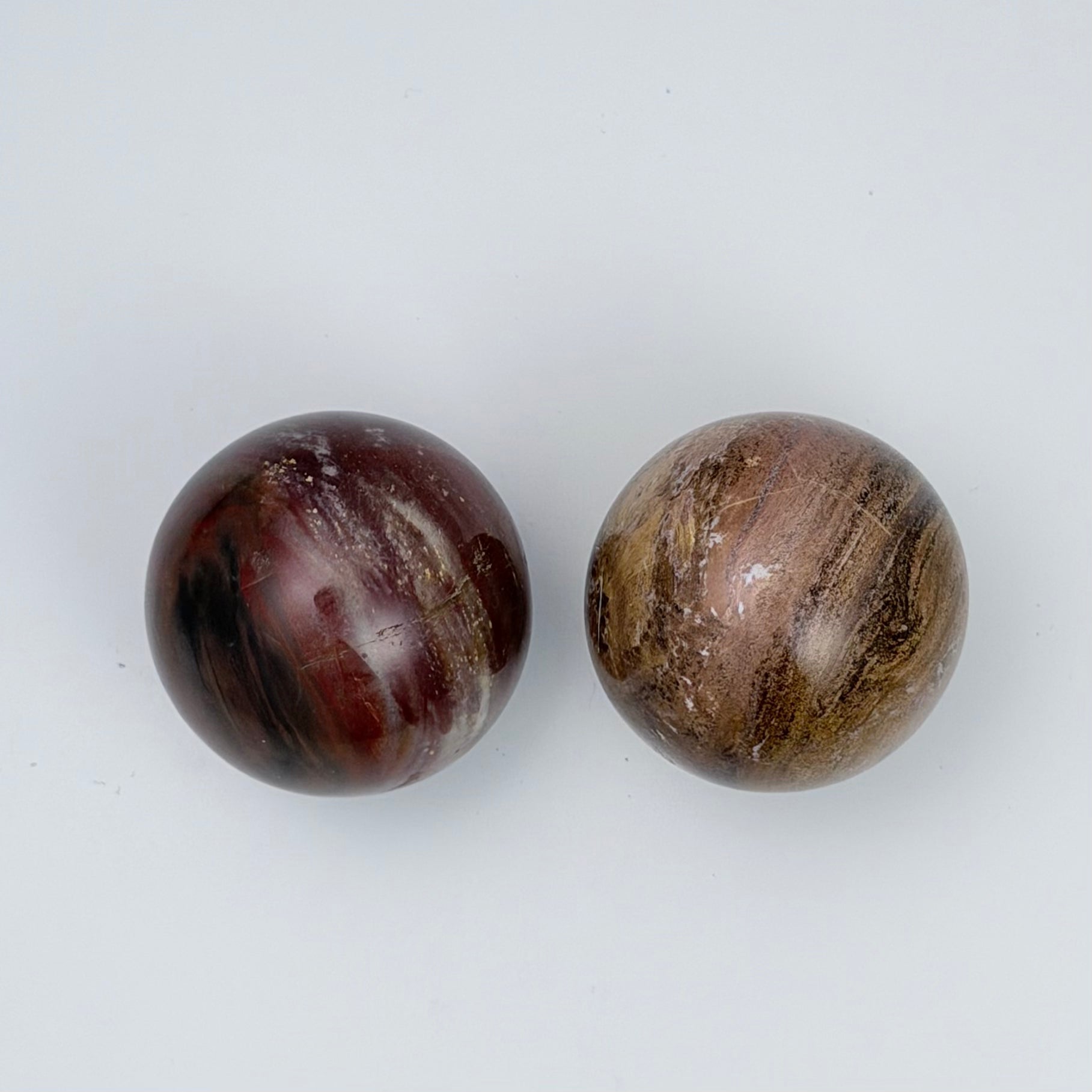 Petrified Wood | | Wiccan Center
