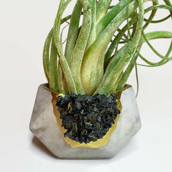 BLACK TOURMALINE GEOMETRIC PLANTER | Geometric Planter | Wiccan Center