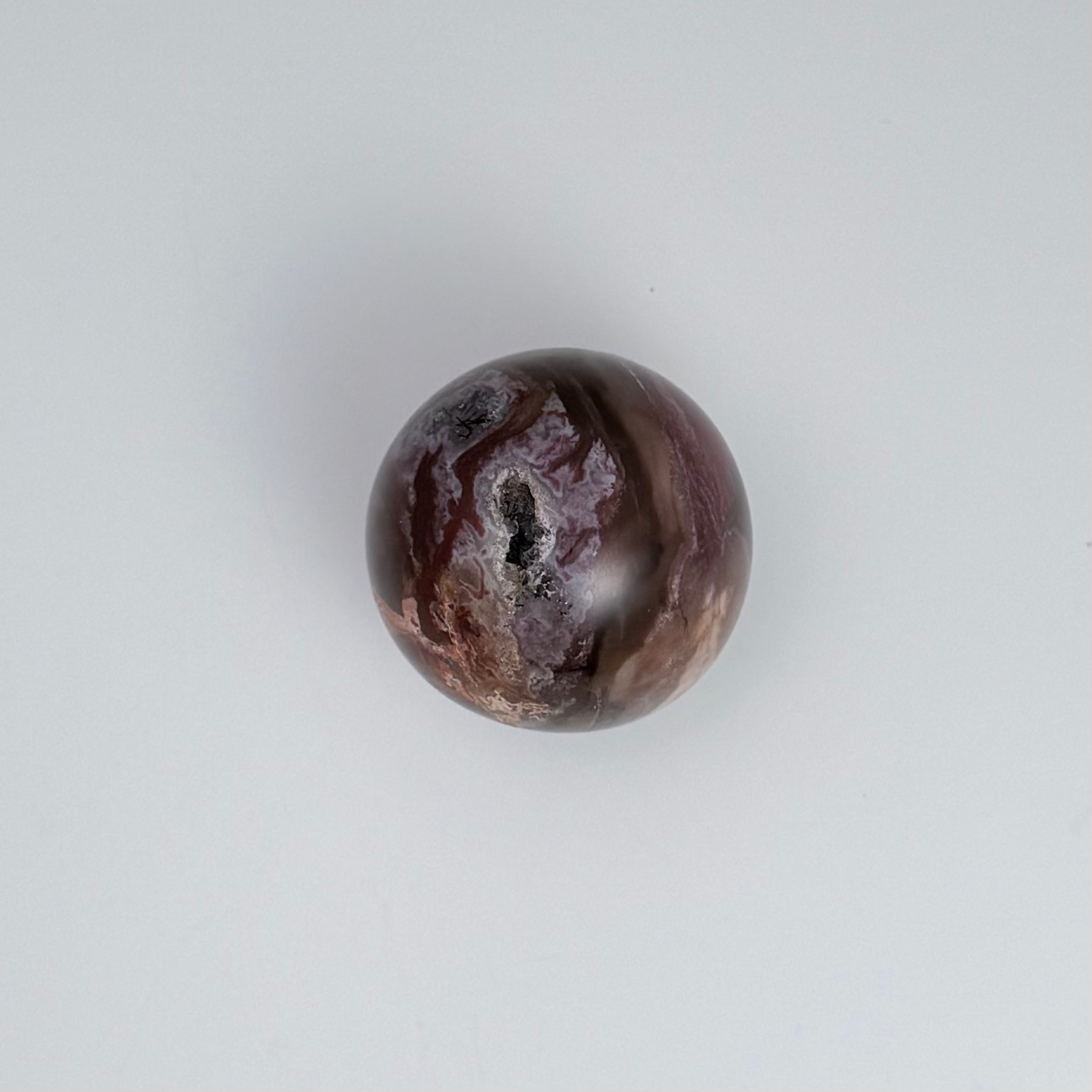 Petrified Wood | | Wiccan Center