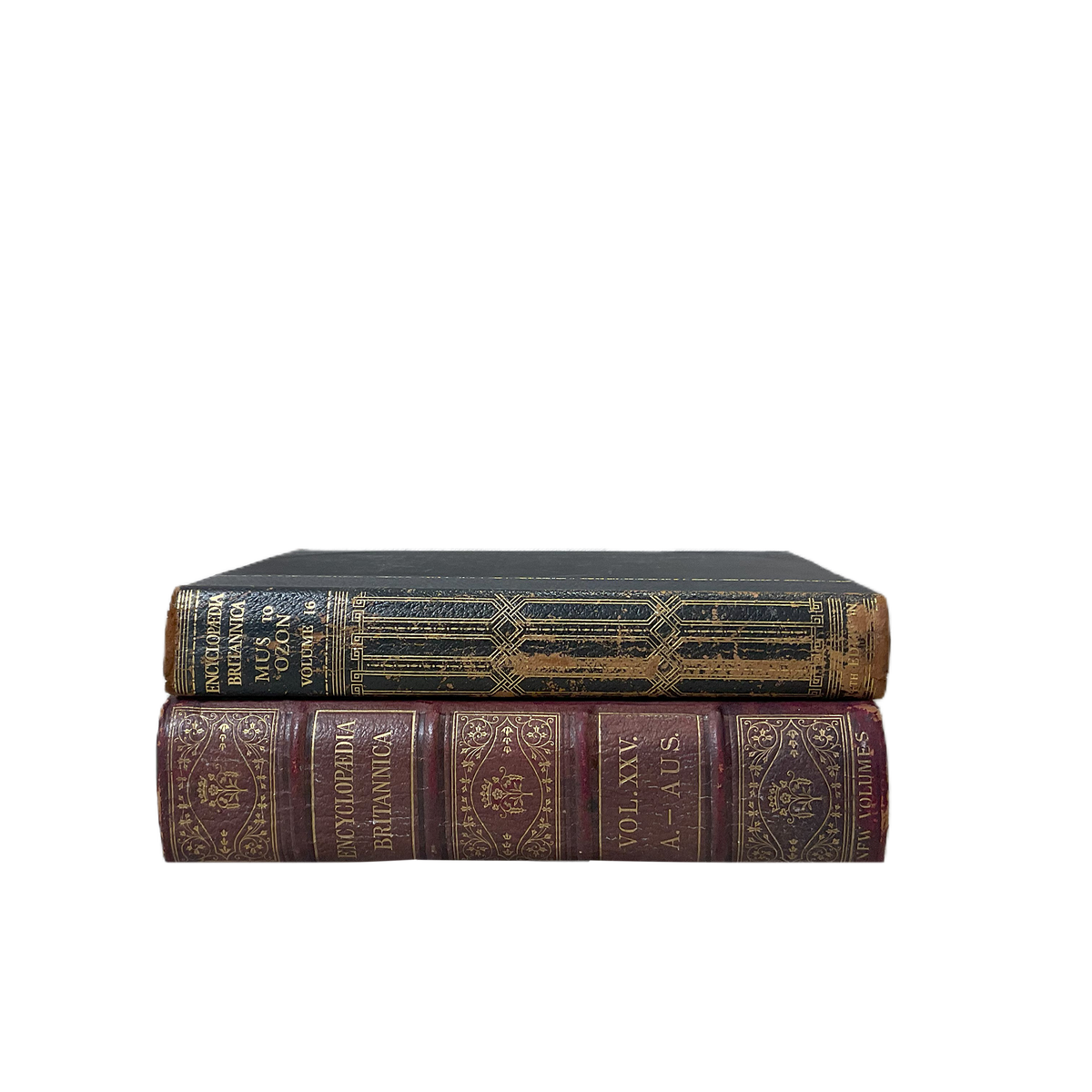 Vintage Books Large