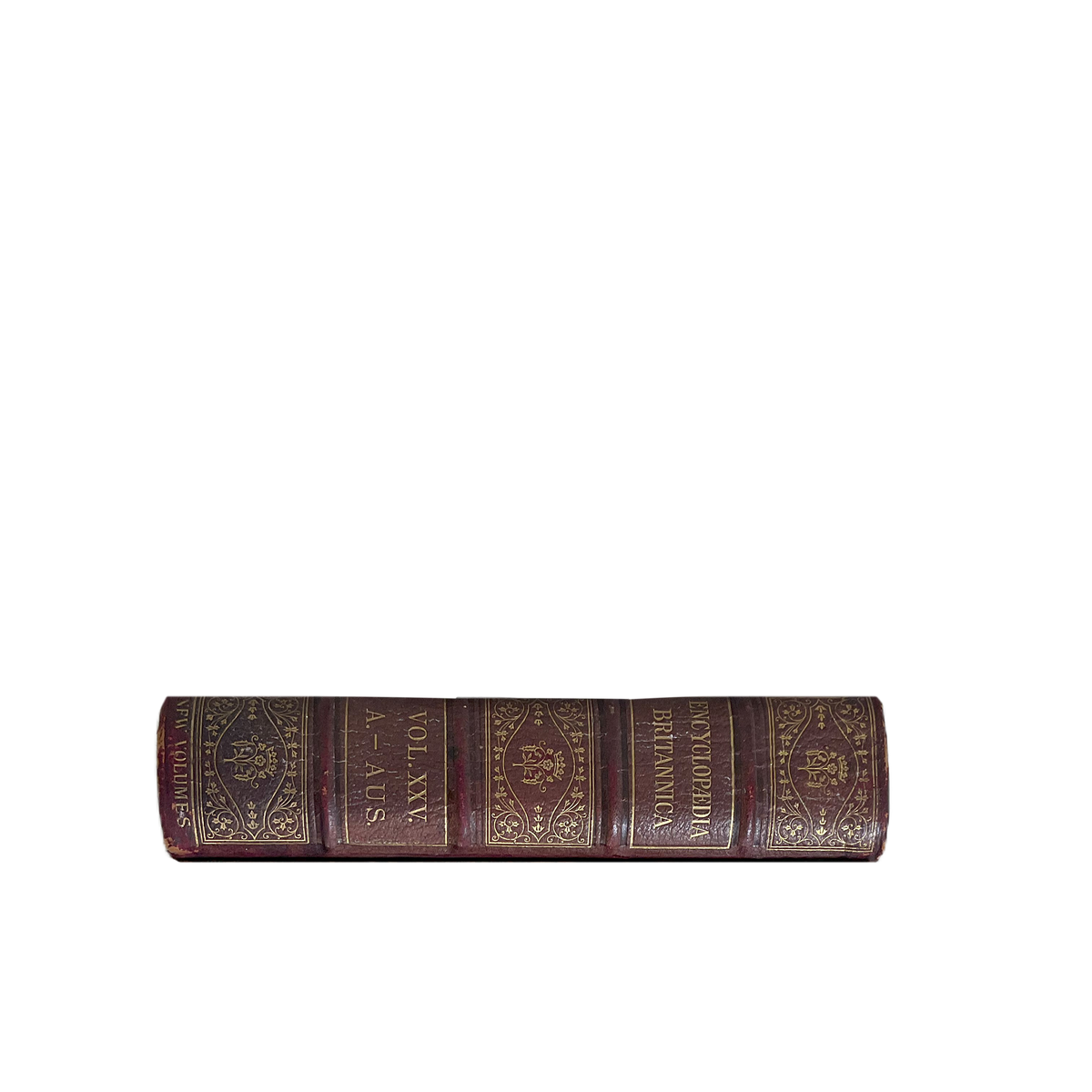 Vintage Books Large