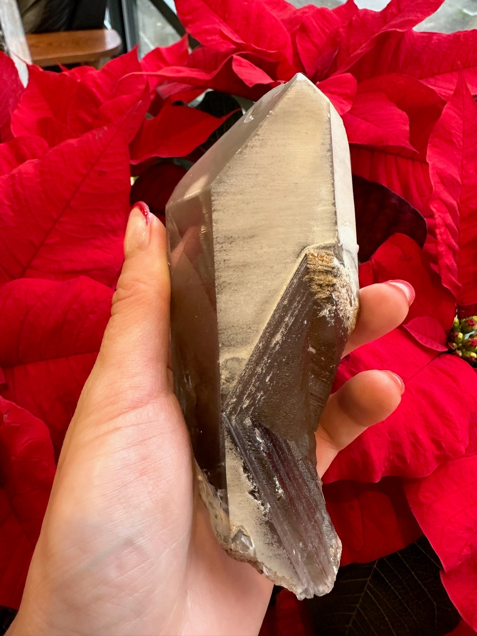Lodalite Included Smoky Quartz with Phantoms 340g | Minerals | Wiccan Center