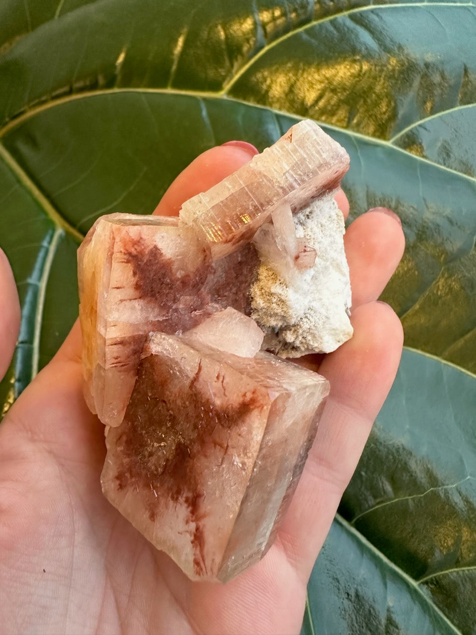 Red Apophyllite Cube (Sm) | Minerals | Wiccan Center