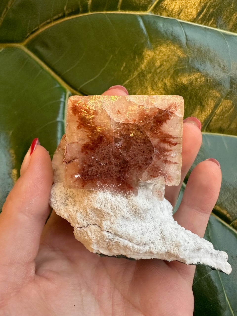 Red Apophyllite Cube (Sm) | Minerals | Wiccan Center