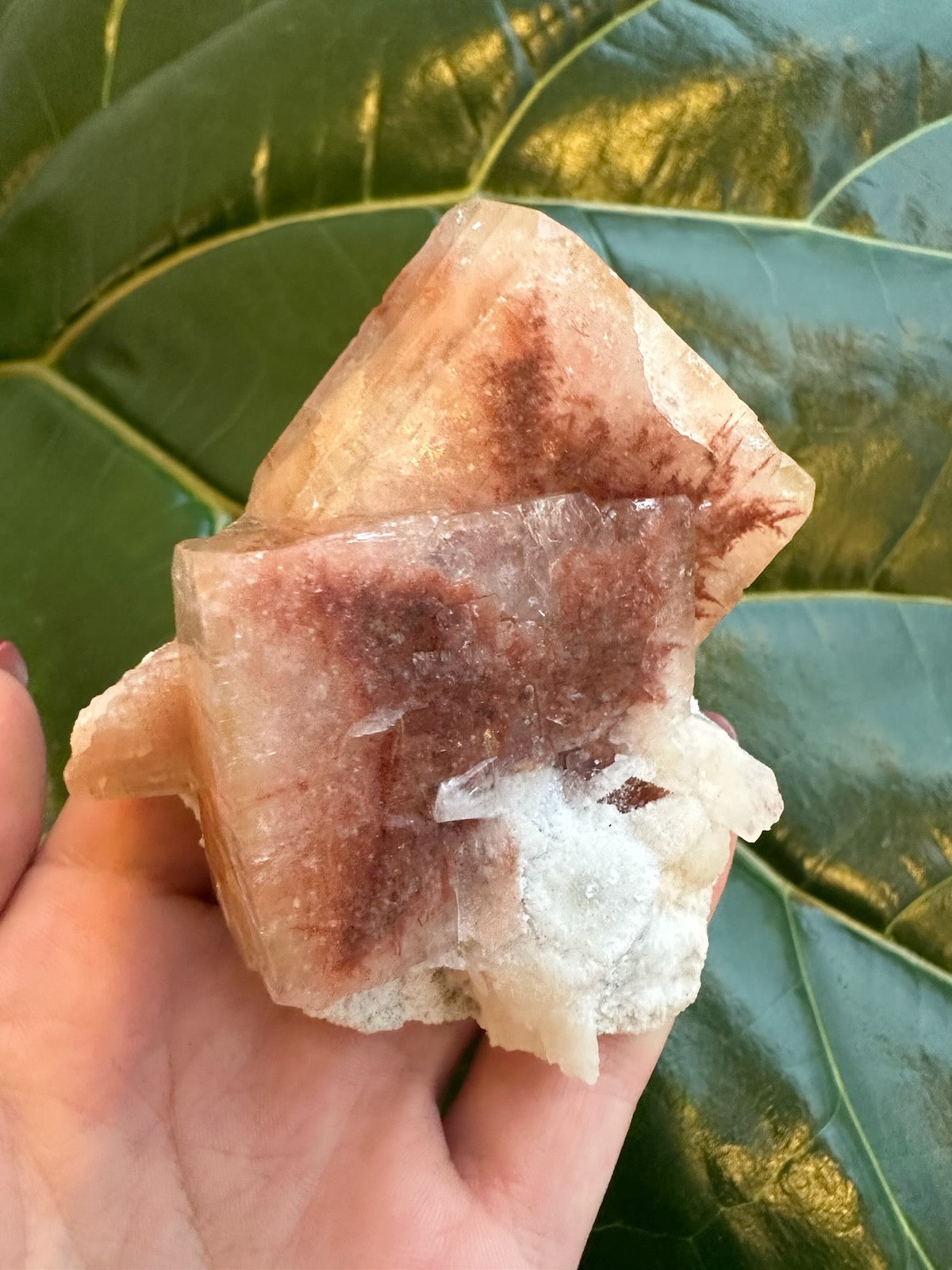Red Apophyllite Cube (Sm) | Minerals | Wiccan Center