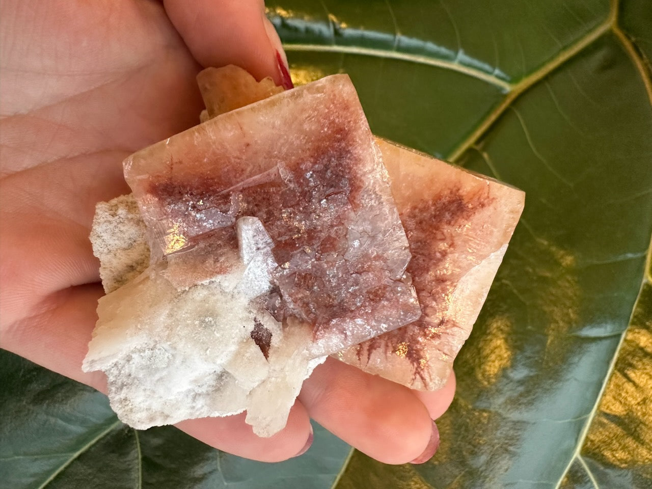 Red Apophyllite Cube (Sm) | Minerals | Wiccan Center