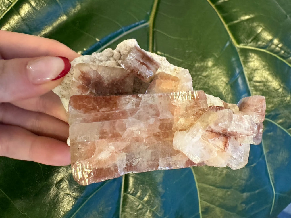 Red Apophyllite Cube on Matrix (Lg) | Minerals | Wiccan Center