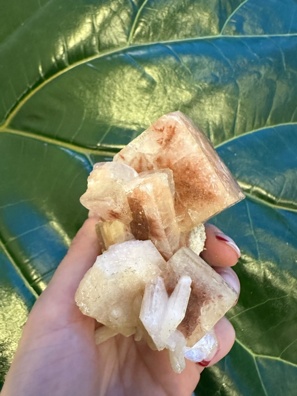 Red Apophyllite Cube on Matrix (Lg) | Minerals | Wiccan Center